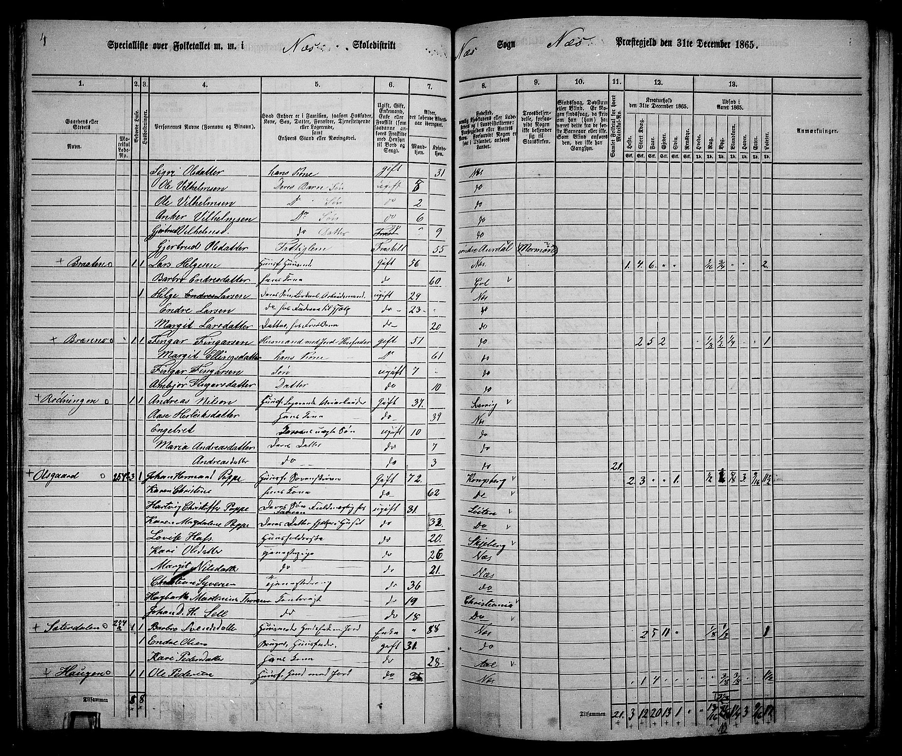 RA, 1865 census for Nes, 1865, p. 152