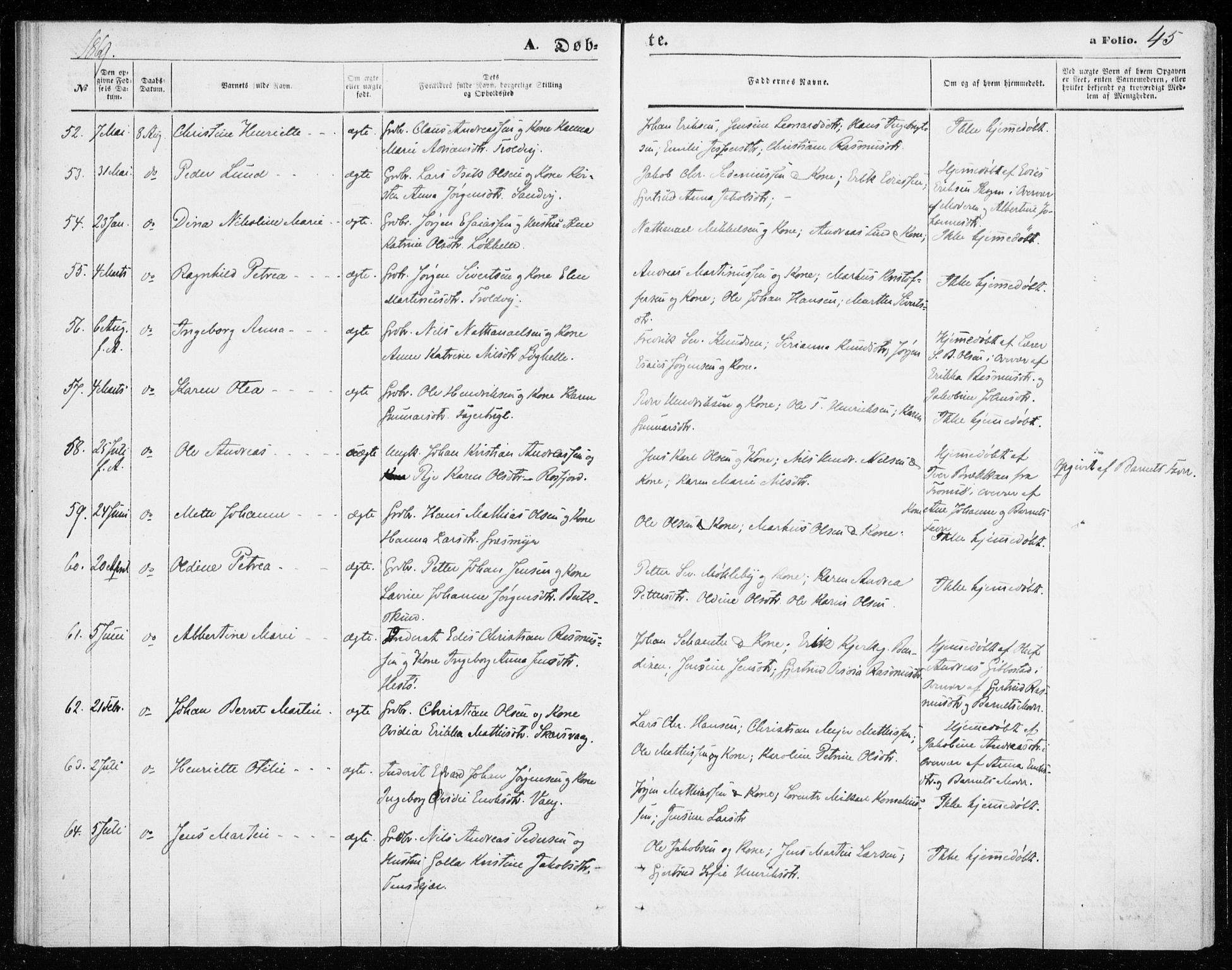 Lenvik sokneprestembete, SATØ/S-1310/H/Ha/Haa/L0009kirke: Parish register (official) no. 9, 1866-1873, p. 45
