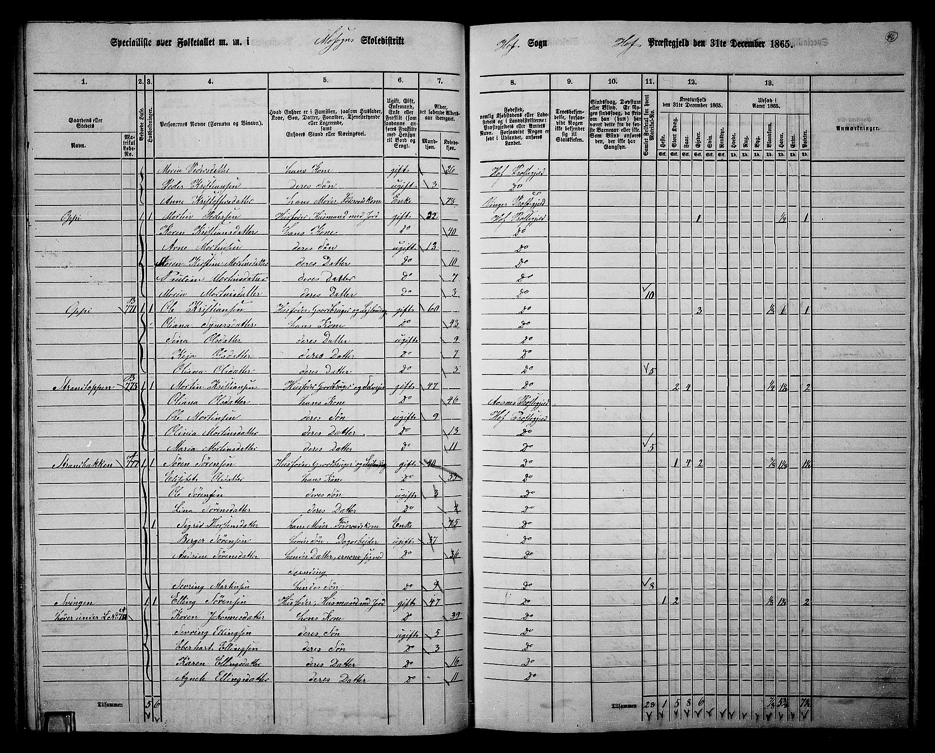 RA, 1865 census for Hof, 1865, p. 42