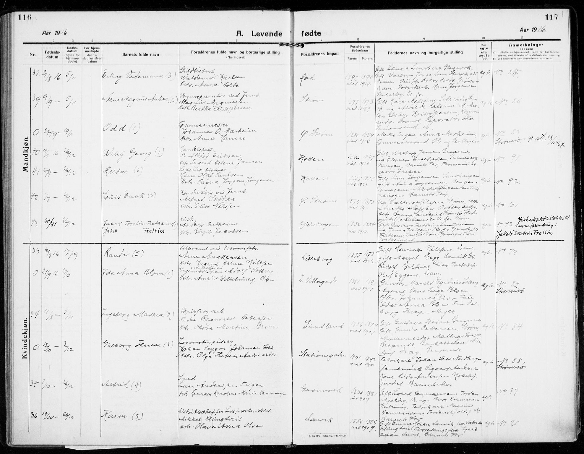 Strømsgodset kirkebøker, AV/SAKO-A-324/F/Fa/L0002: Parish register (official) no. 2, 1910-1920, p. 116-117