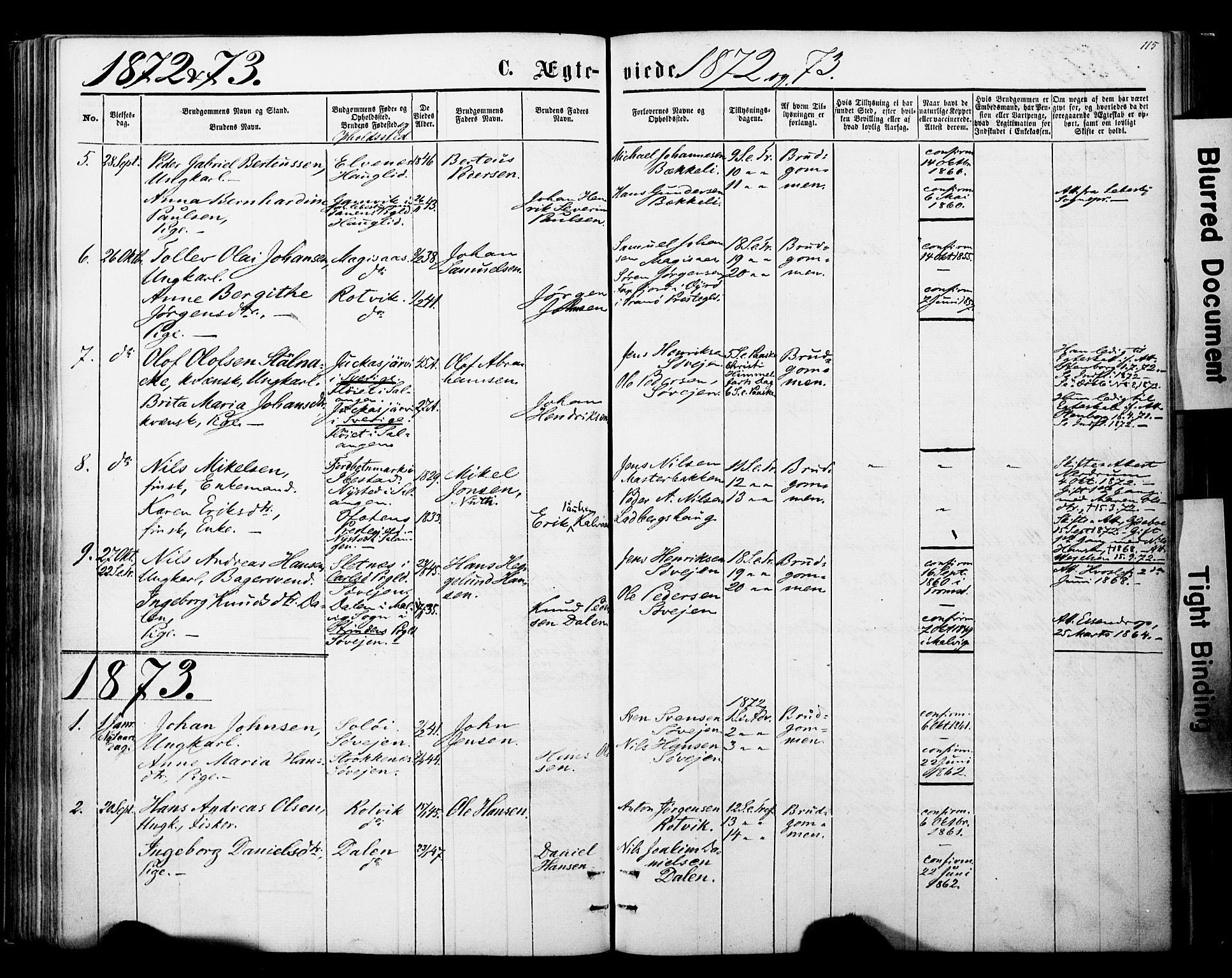 Ibestad sokneprestembete, SATØ/S-0077/H/Ha/Haa/L0013kirke: Parish register (official) no. 13, 1865-1879, p. 115