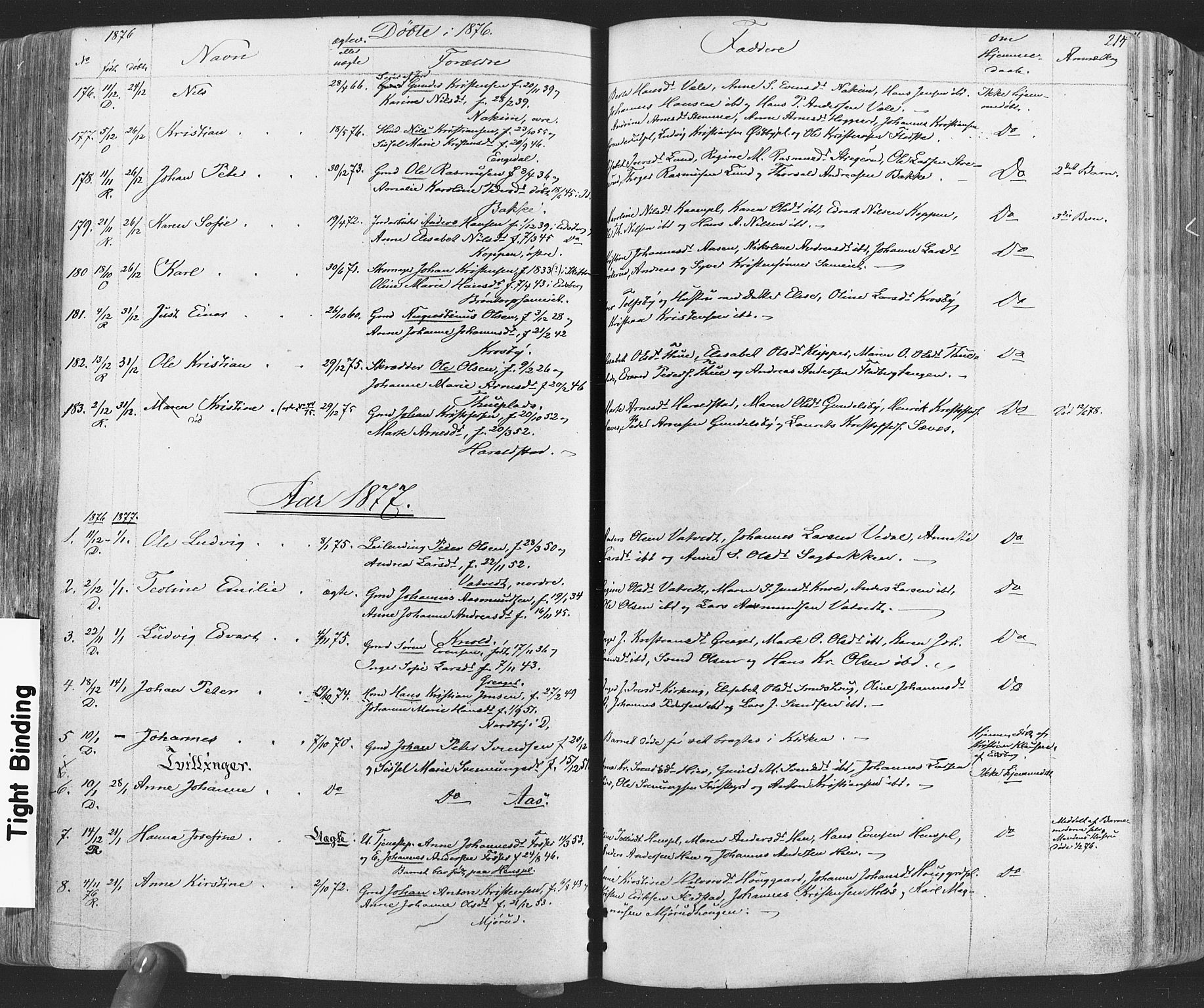 Rakkestad prestekontor Kirkebøker, SAO/A-2008/F/Fa/L0011: Parish register (official) no. I 11, 1862-1877, p. 214