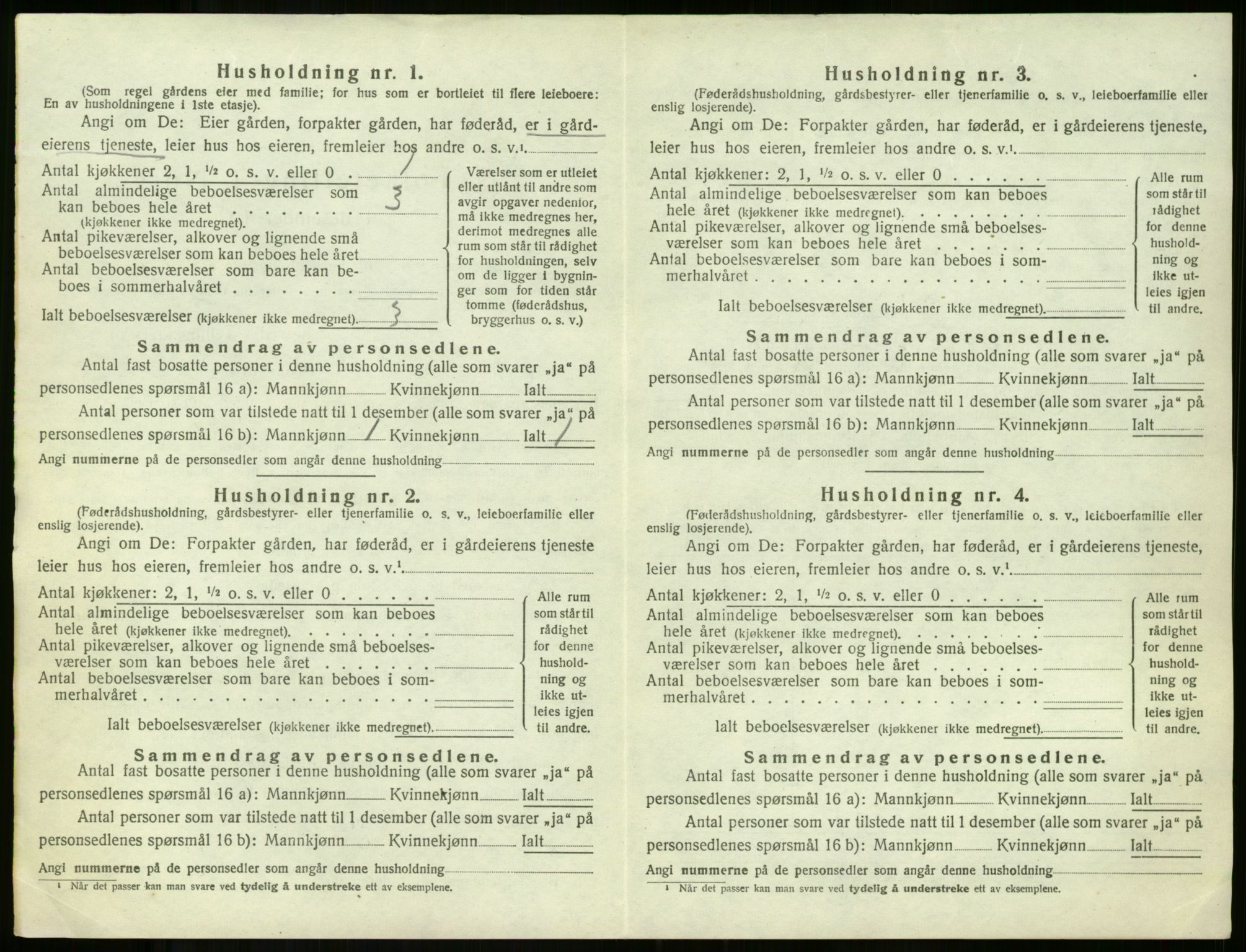 SAKO, 1920 census for Borre, 1920, p. 1369