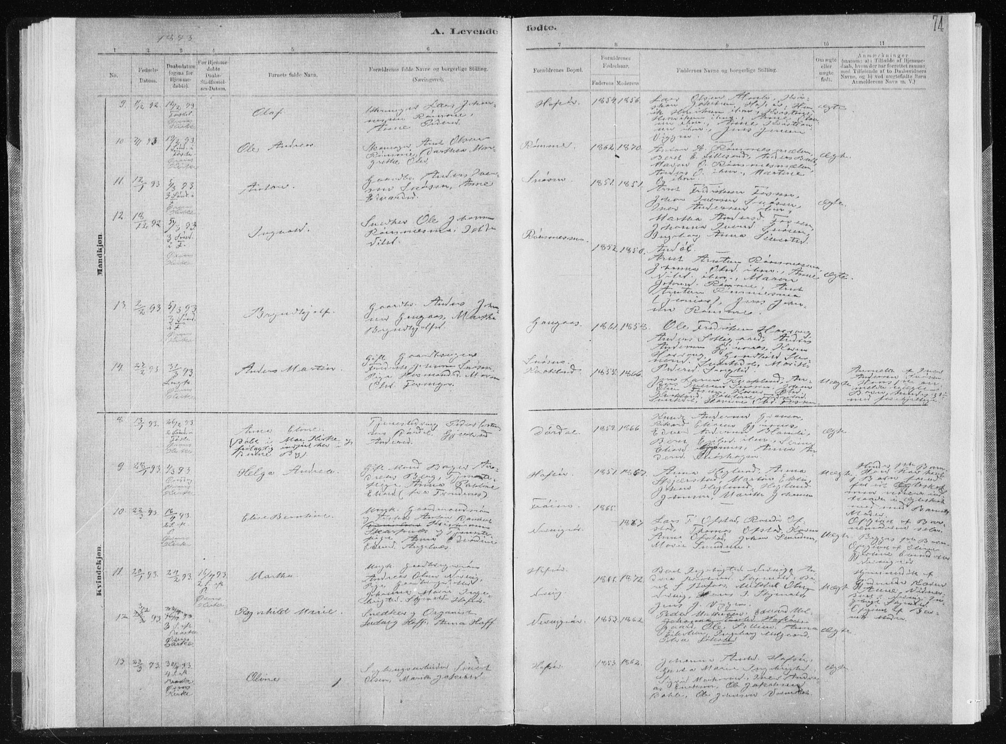Ministerialprotokoller, klokkerbøker og fødselsregistre - Sør-Trøndelag, SAT/A-1456/668/L0818: Parish register (copy) no. 668C07, 1885-1898, p. 74