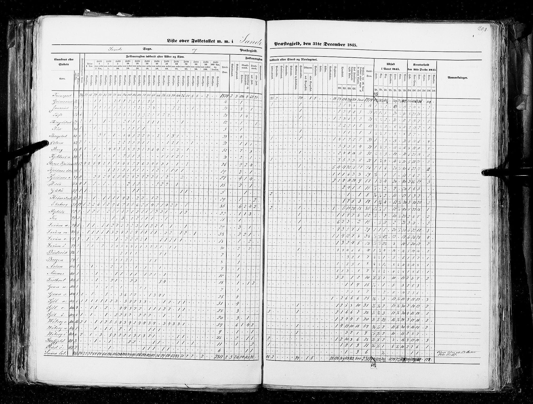 RA, Census 1845, vol. 4: Buskerud amt og Jarlsberg og Larvik amt, 1845, p. 290