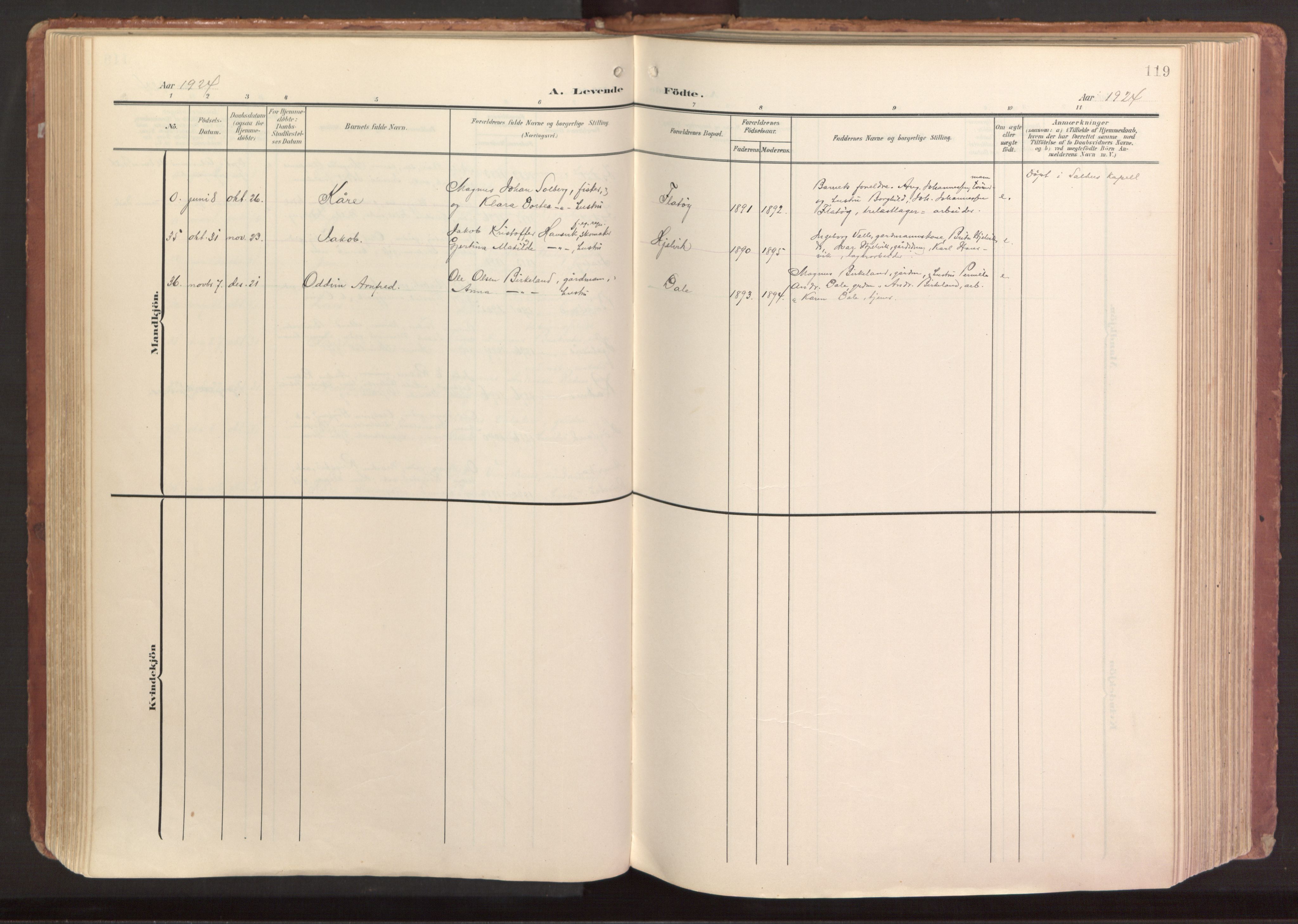 Hamre sokneprestembete, AV/SAB-A-75501/H/Ha/Haa/Haab/L0002: Parish register (official) no. B 2, 1905-1924, p. 119