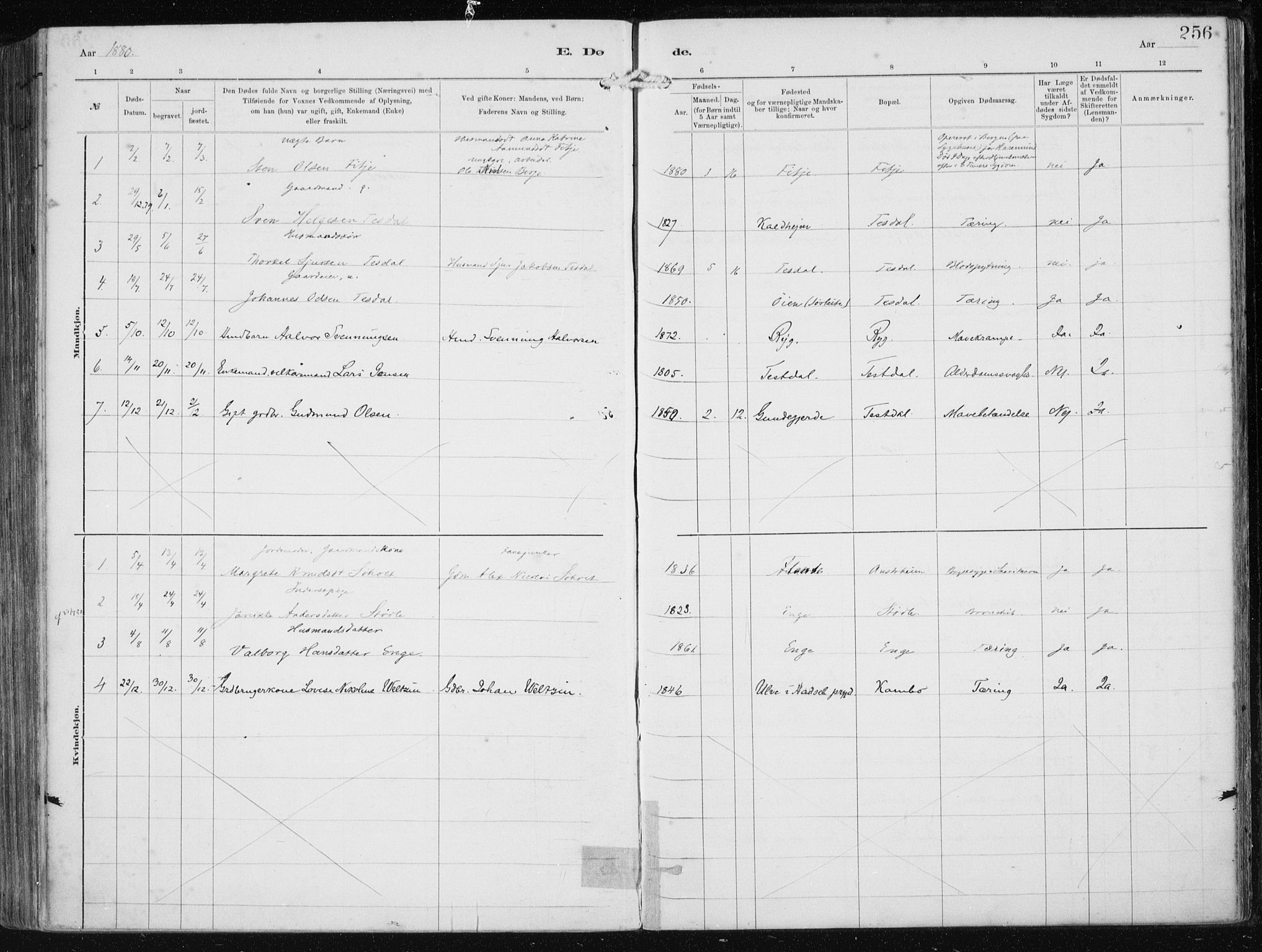 Etne sokneprestembete, SAB/A-75001/H/Haa: Parish register (official) no. B  1, 1879-1919, p. 256