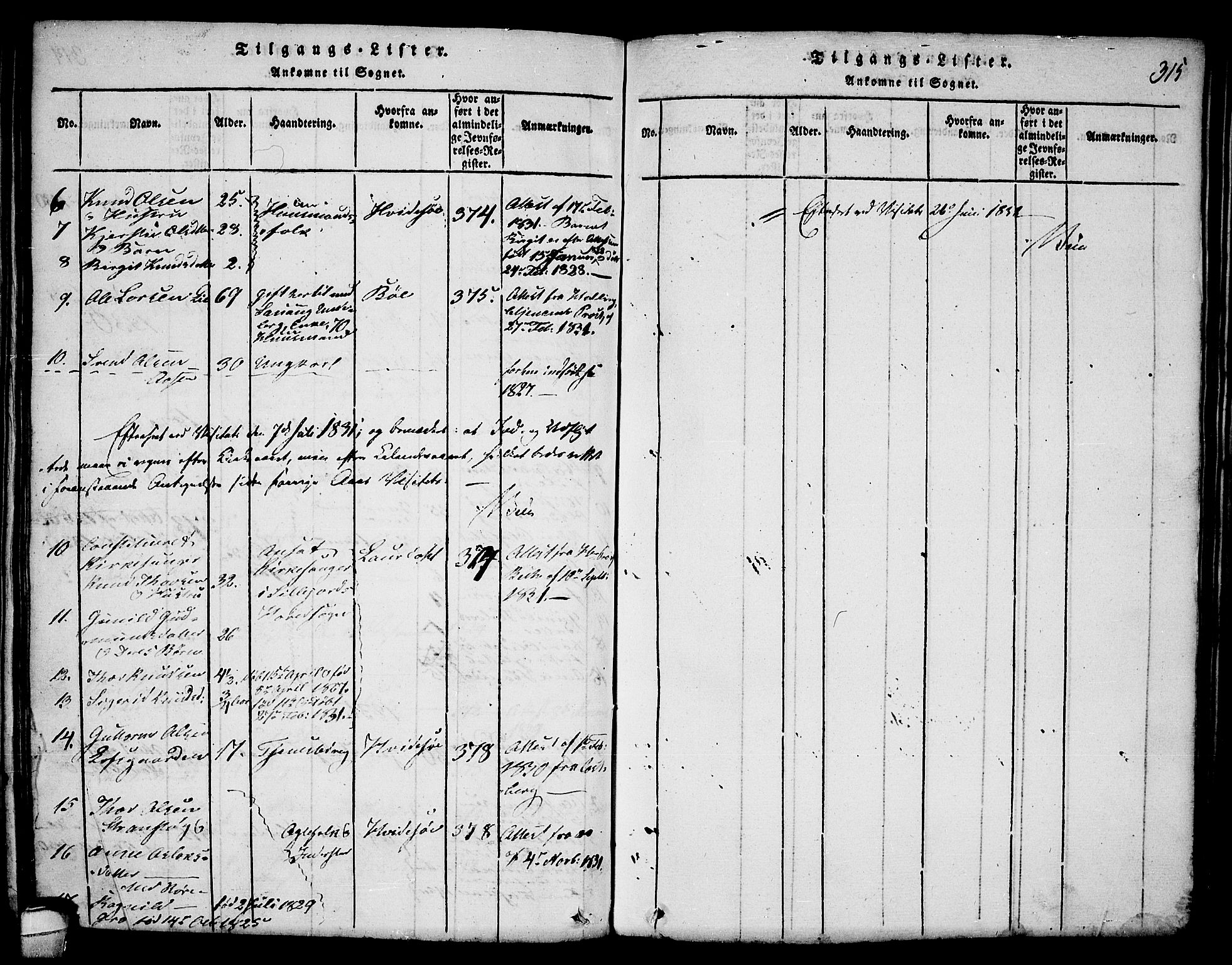 Seljord kirkebøker, SAKO/A-20/F/Fa/L0010: Parish register (official) no. I 10, 1815-1831, p. 315