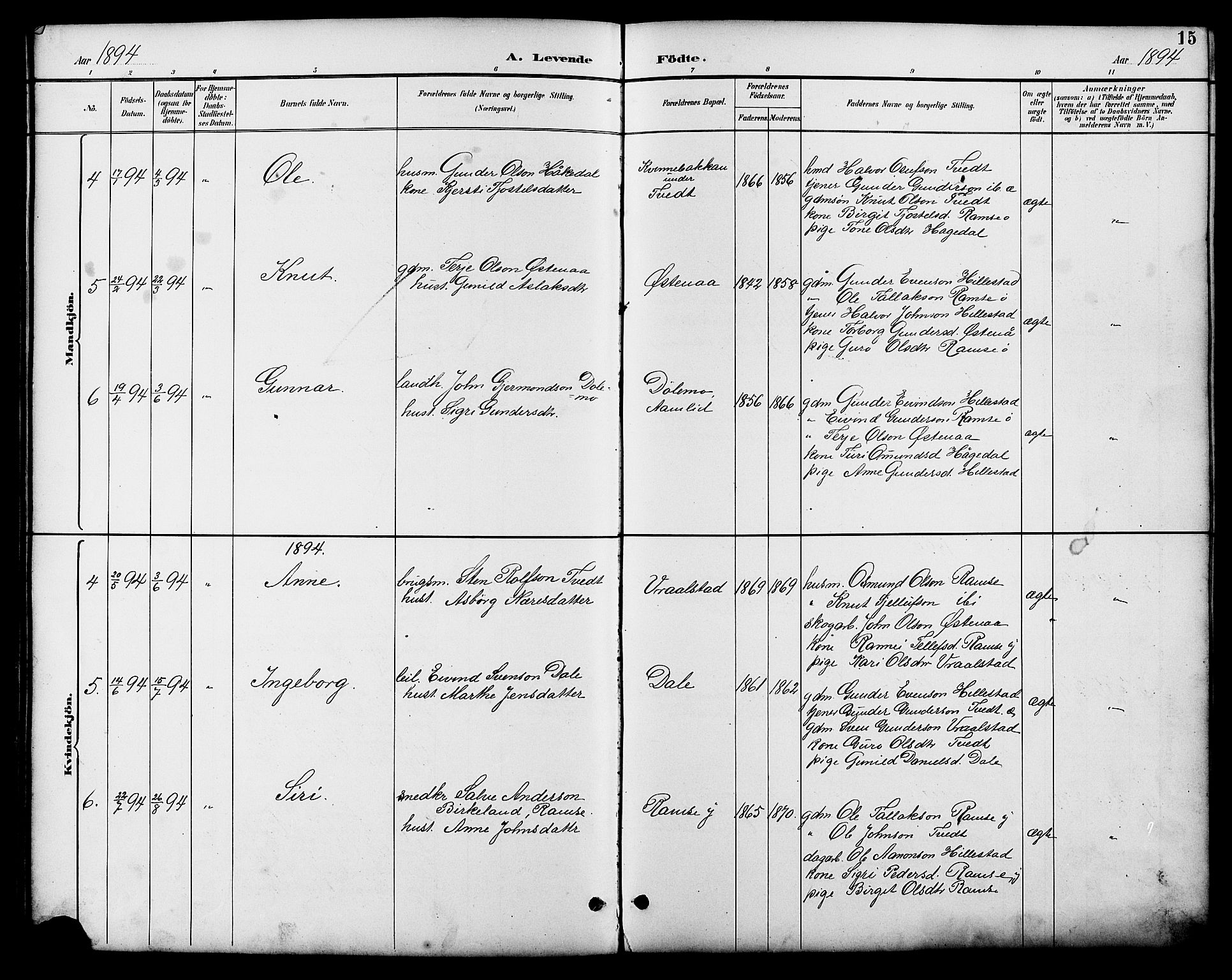 Åmli sokneprestkontor, AV/SAK-1111-0050/F/Fb/Fbb/L0002: Parish register (copy) no. B 2, 1890-1905, p. 15