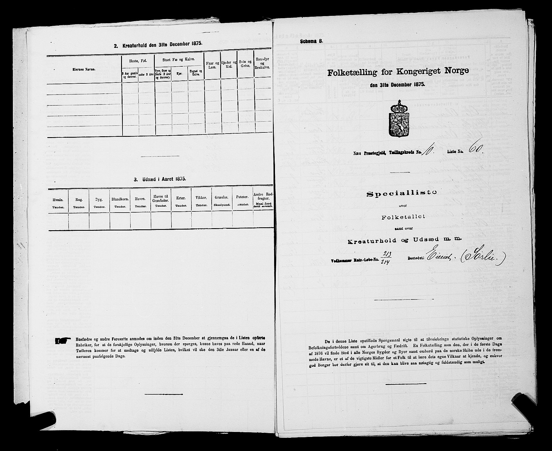 RA, 1875 census for 0236P Nes, 1875, p. 1685