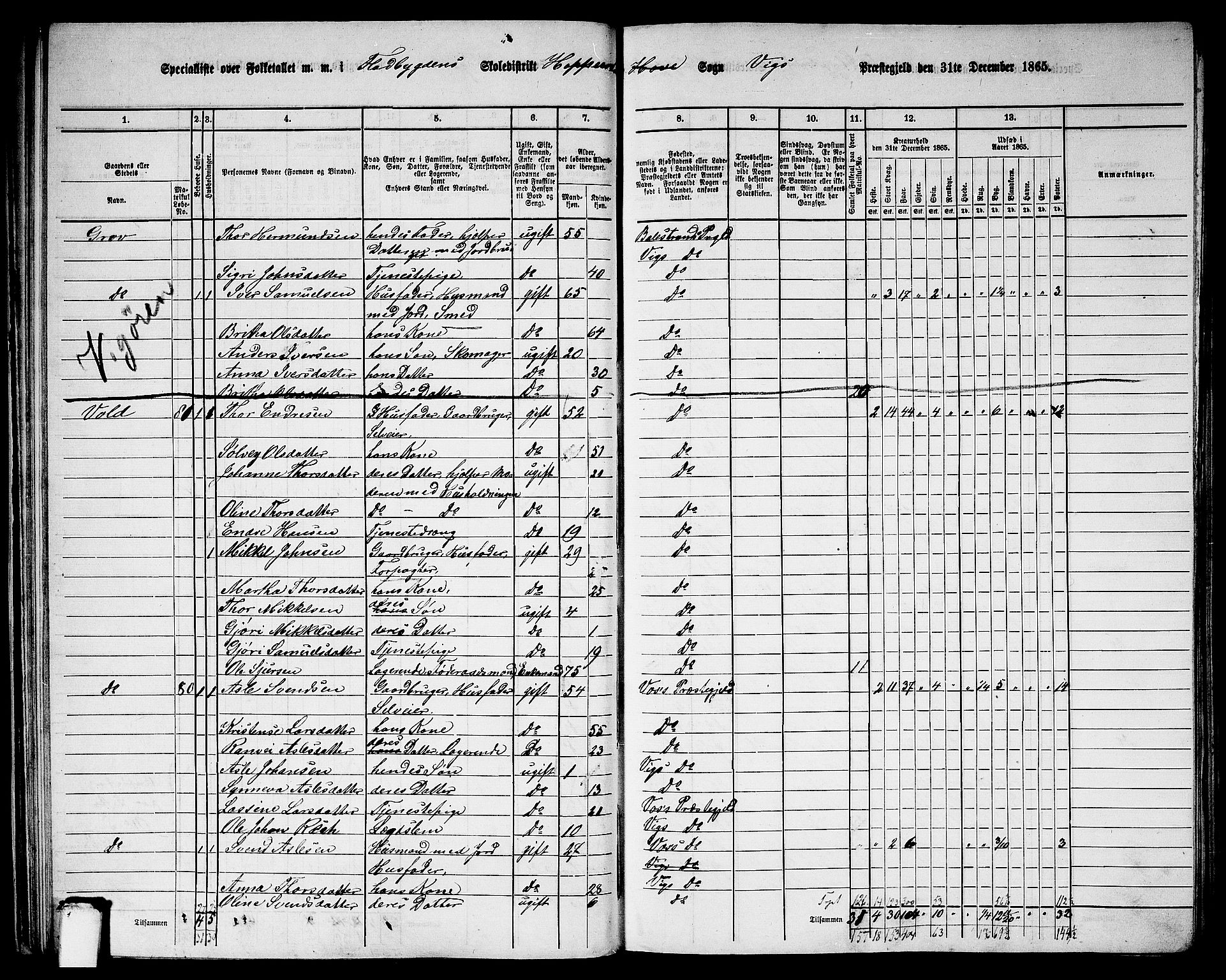RA, 1865 census for Vik, 1865, p. 37