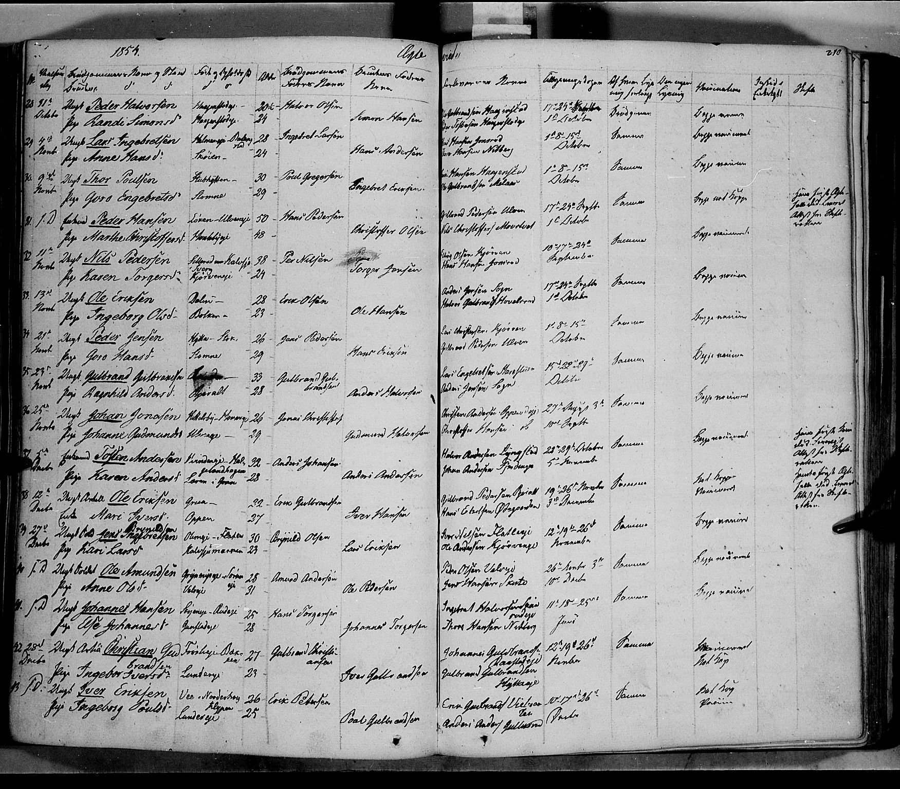 Jevnaker prestekontor, AV/SAH-PREST-116/H/Ha/Haa/L0006: Parish register (official) no. 6, 1837-1857, p. 210