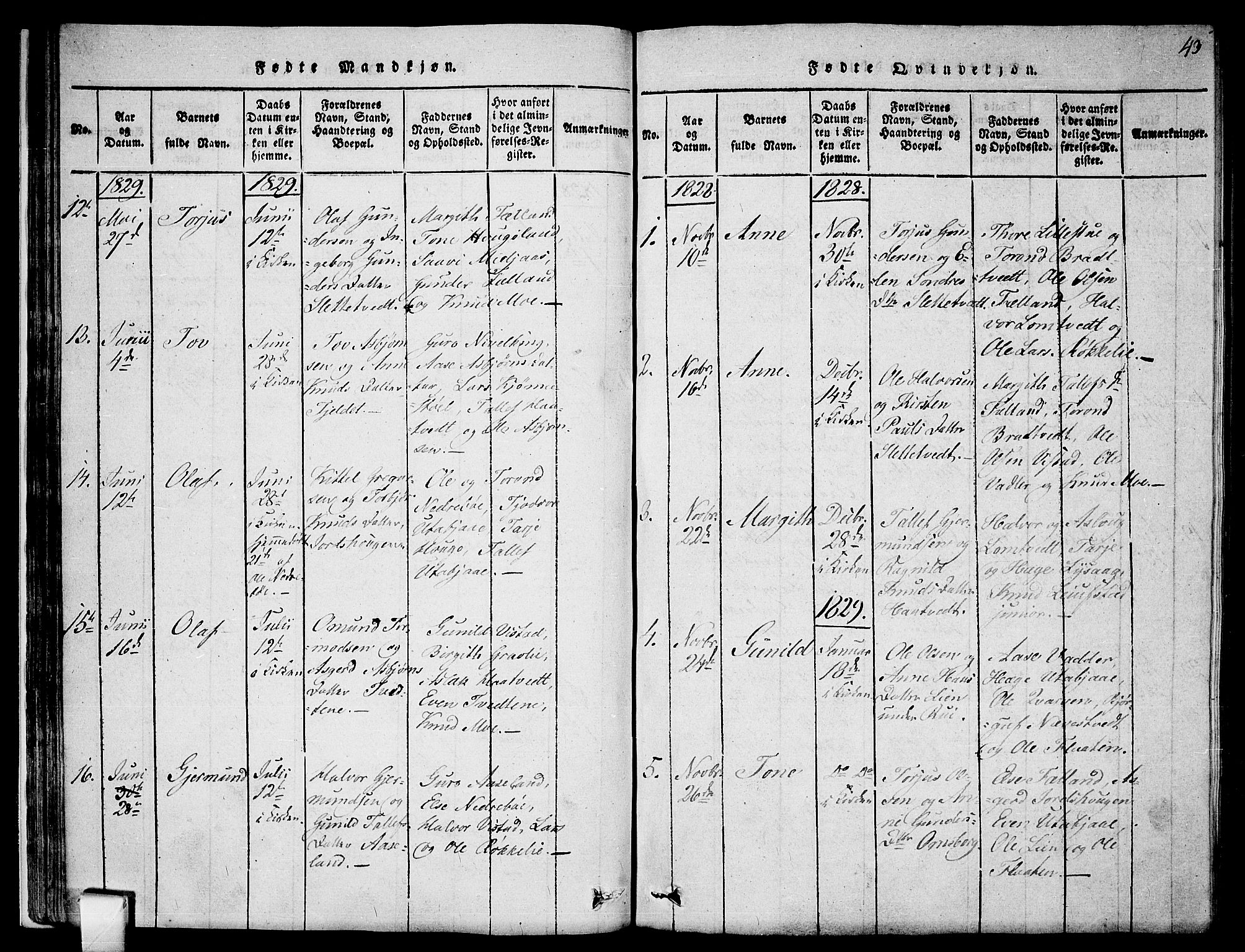 Mo kirkebøker, AV/SAKO-A-286/F/Fa/L0004: Parish register (official) no. I 4, 1814-1844, p. 43