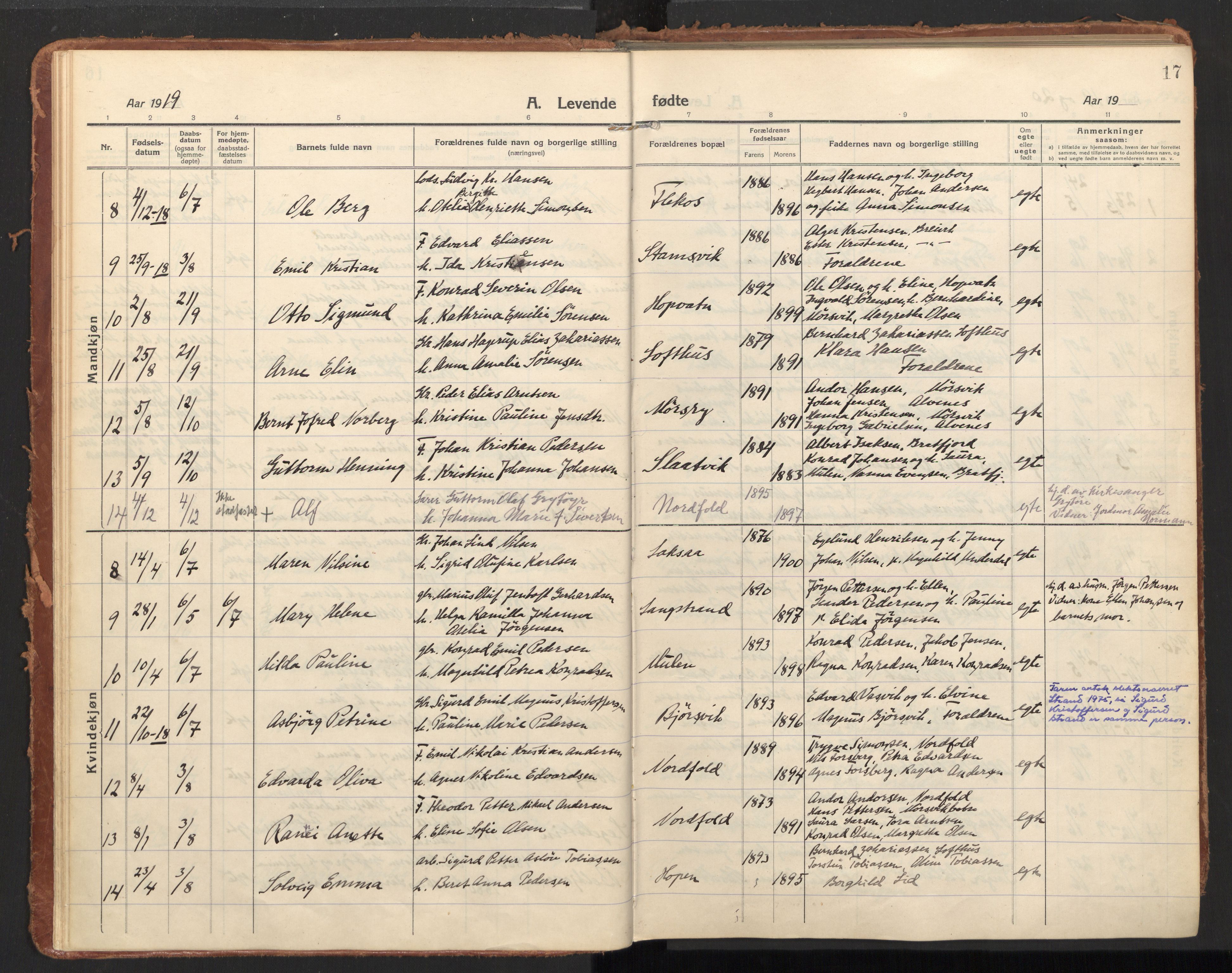 Ministerialprotokoller, klokkerbøker og fødselsregistre - Nordland, SAT/A-1459/858/L0833: Parish register (official) no. 858A03, 1916-1934, p. 17