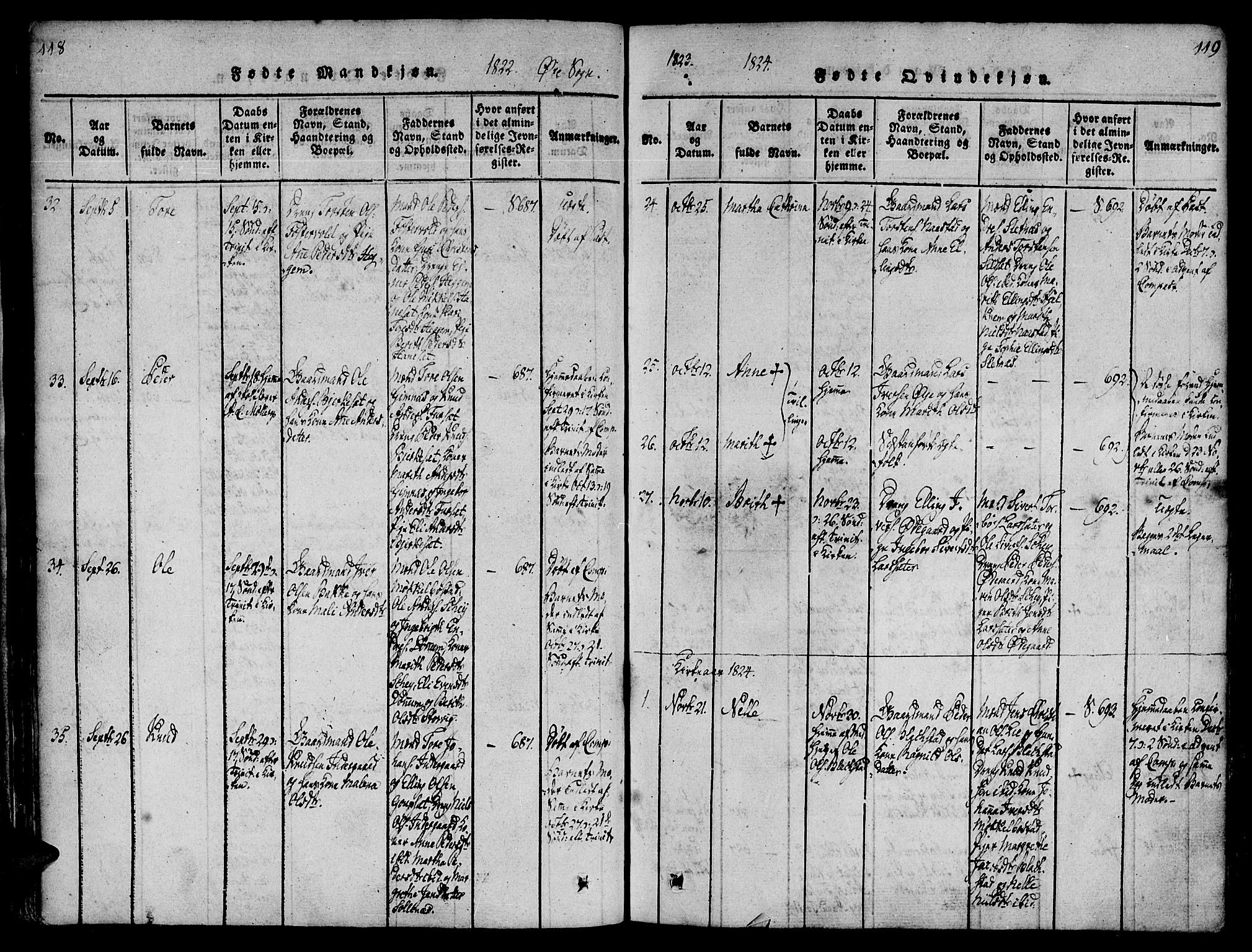 Ministerialprotokoller, klokkerbøker og fødselsregistre - Møre og Romsdal, AV/SAT-A-1454/586/L0982: Parish register (official) no. 586A08, 1819-1829, p. 118-119