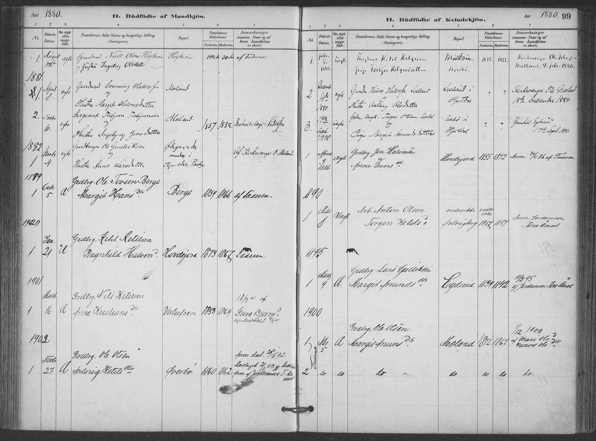 Hjartdal kirkebøker, SAKO/A-270/F/Fa/L0010: Parish register (official) no. I 10, 1880-1929, p. 99
