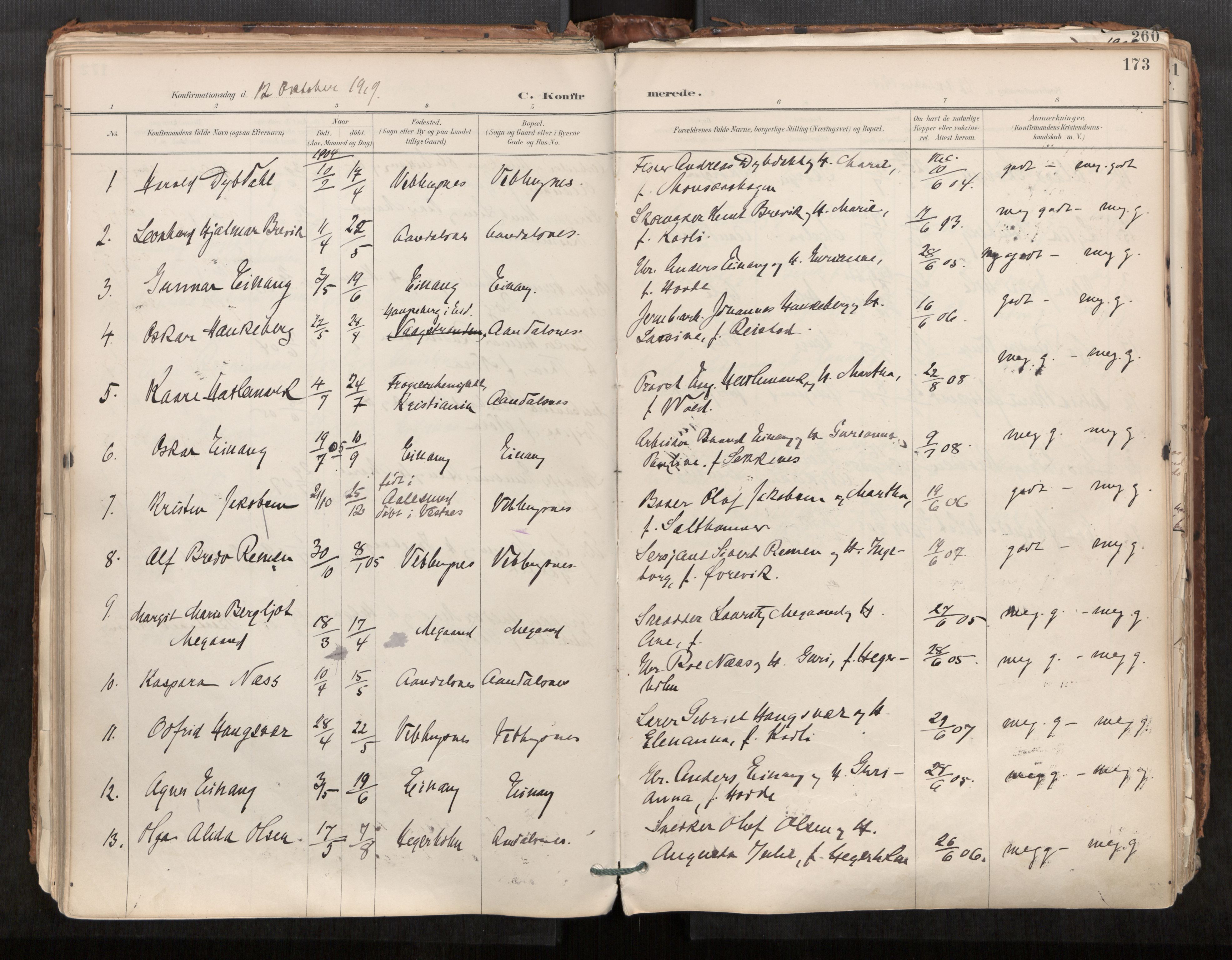 Ministerialprotokoller, klokkerbøker og fødselsregistre - Møre og Romsdal, AV/SAT-A-1454/544/L0585: Parish register (official) no. 544A06, 1887-1924, p. 173