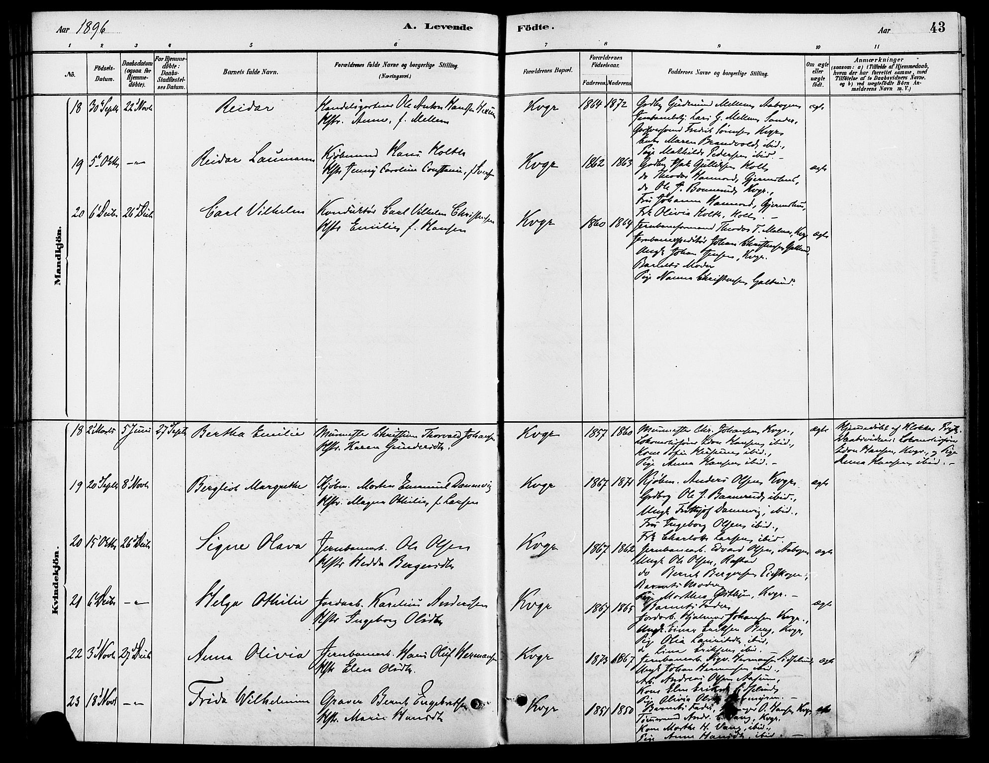 Vinger prestekontor, AV/SAH-PREST-024/H/Ha/Haa/L0013: Parish register (official) no. 13, 1881-1897, p. 43