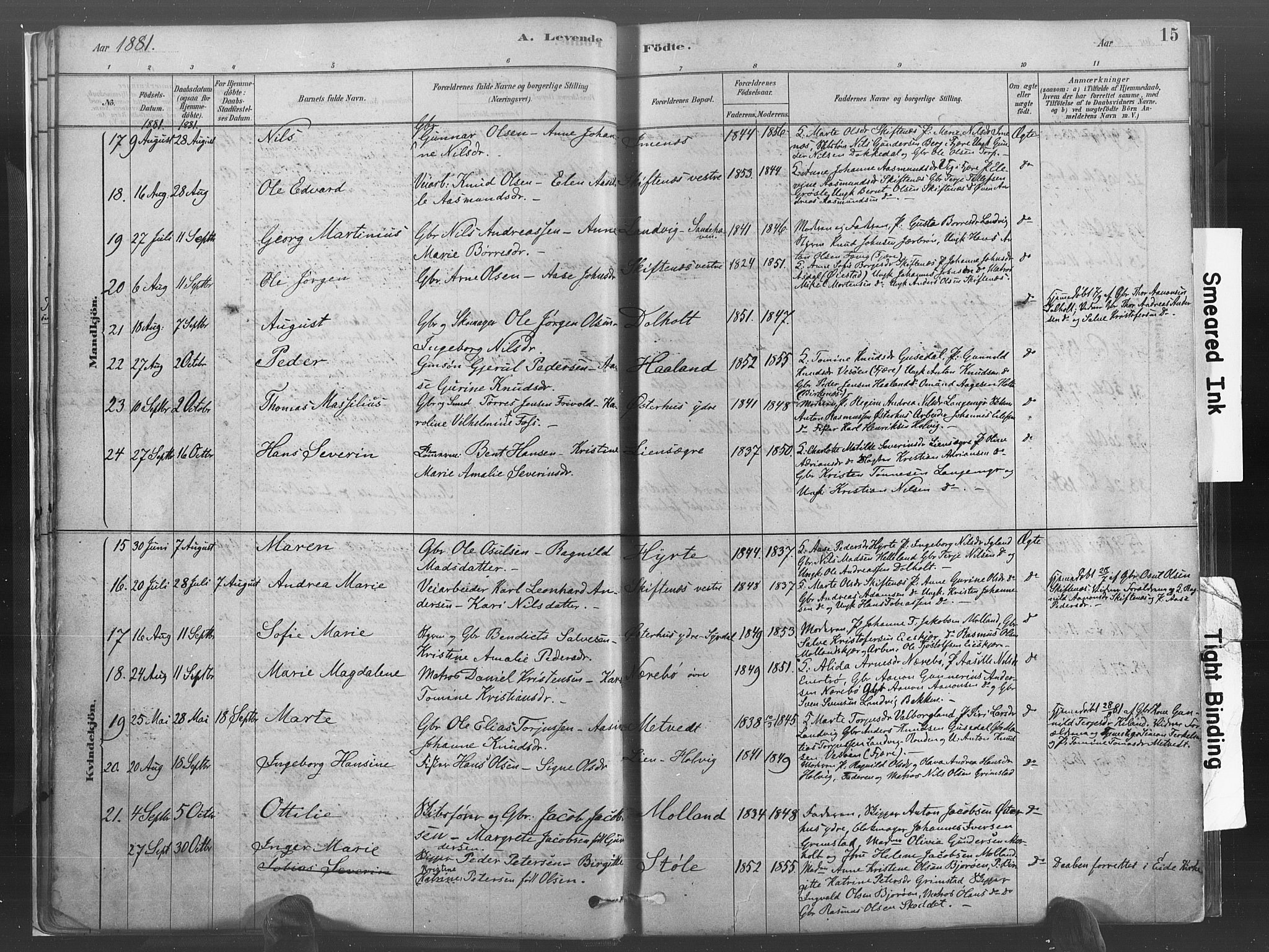 Hommedal sokneprestkontor, AV/SAK-1111-0023/F/Fa/Fab/L0006: Parish register (official) no. A 6, 1878-1897, p. 15