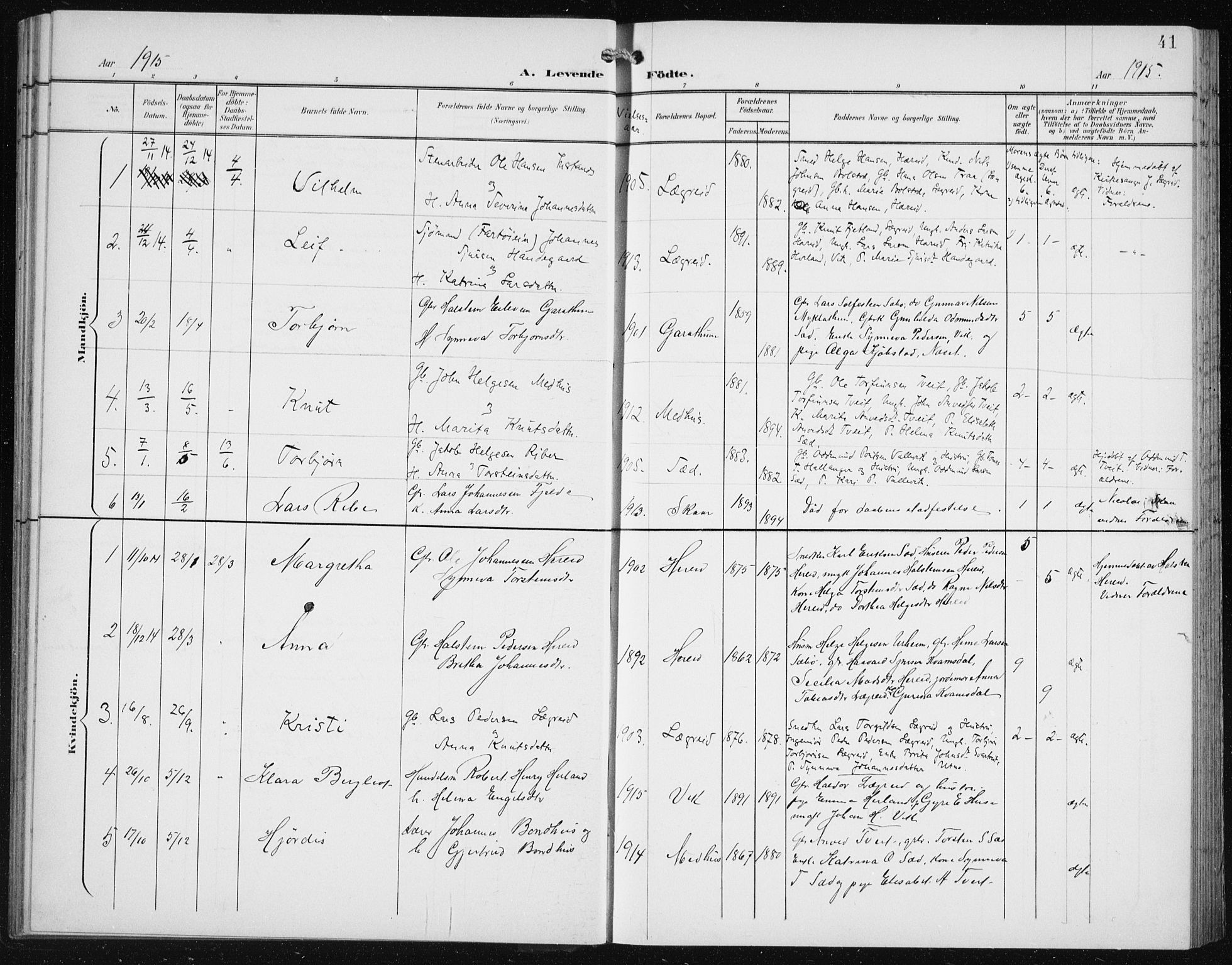 Ullensvang sokneprestembete, SAB/A-78701/H/Hab: Parish register (copy) no. C  3, 1899-1932, p. 41