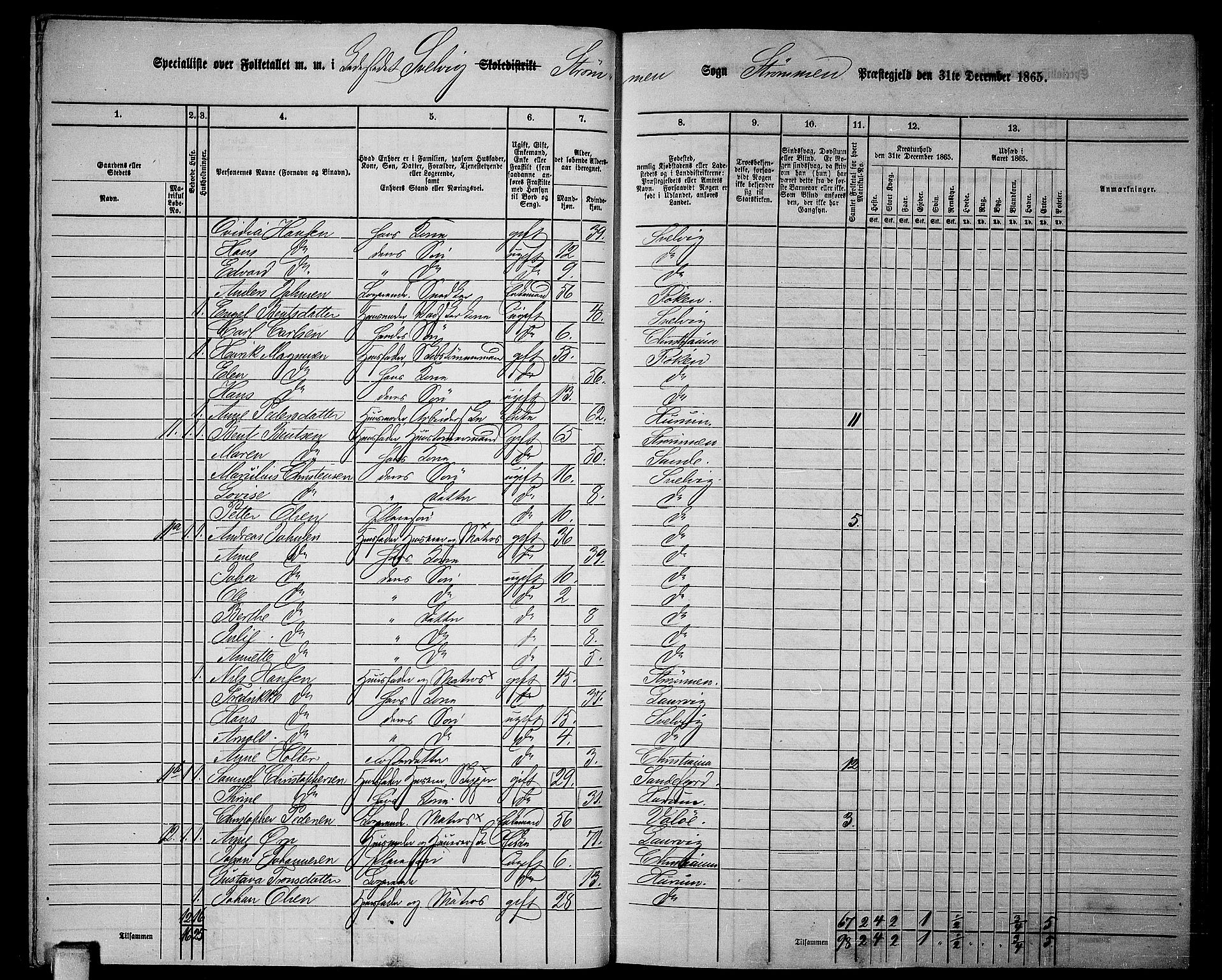 RA, 1865 census for Strømm, 1865, p. 64