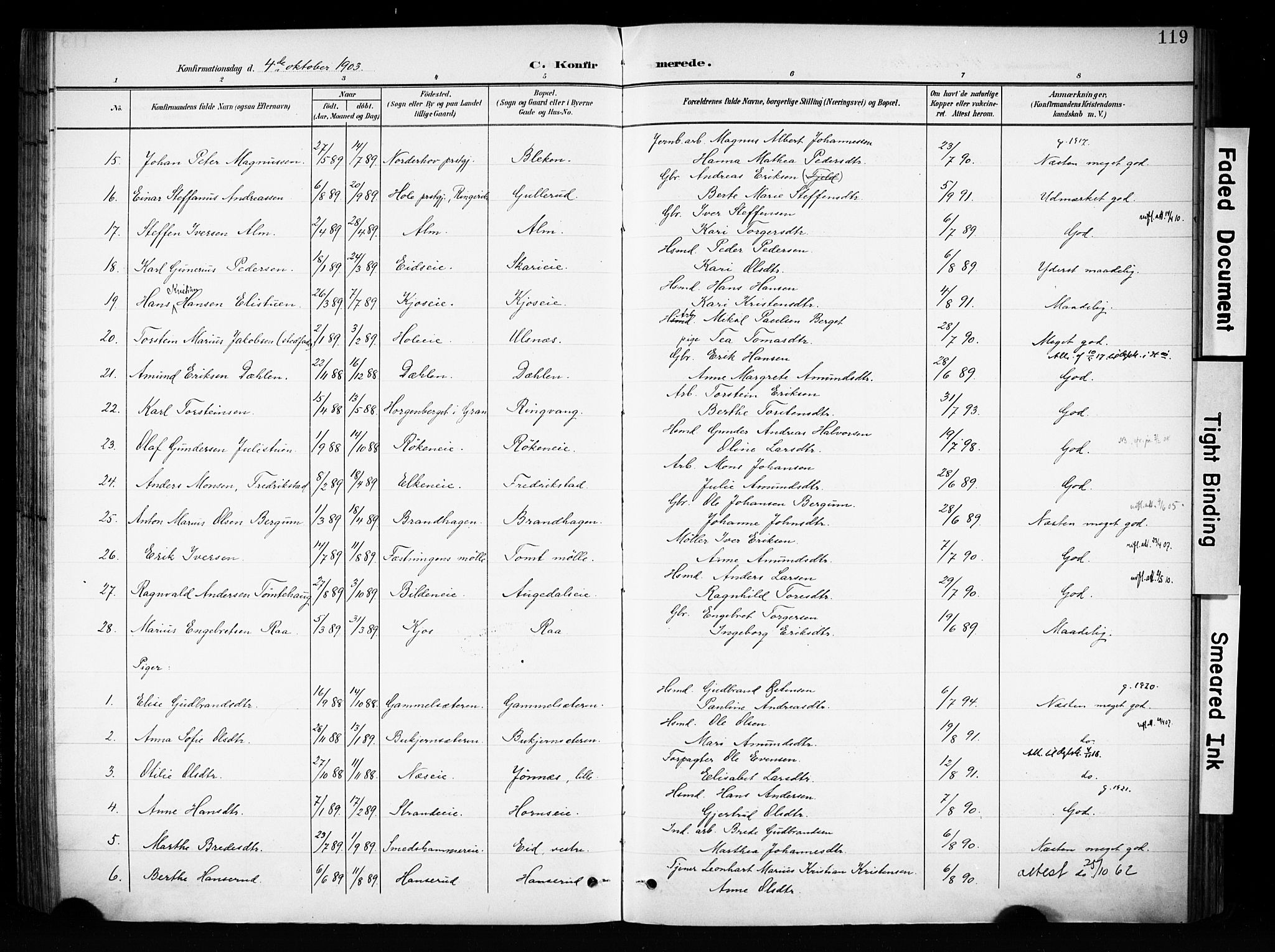 Brandbu prestekontor, SAH/PREST-114/H/Ha/Haa/L0001: Parish register (official) no. 1, 1900-1912, p. 119