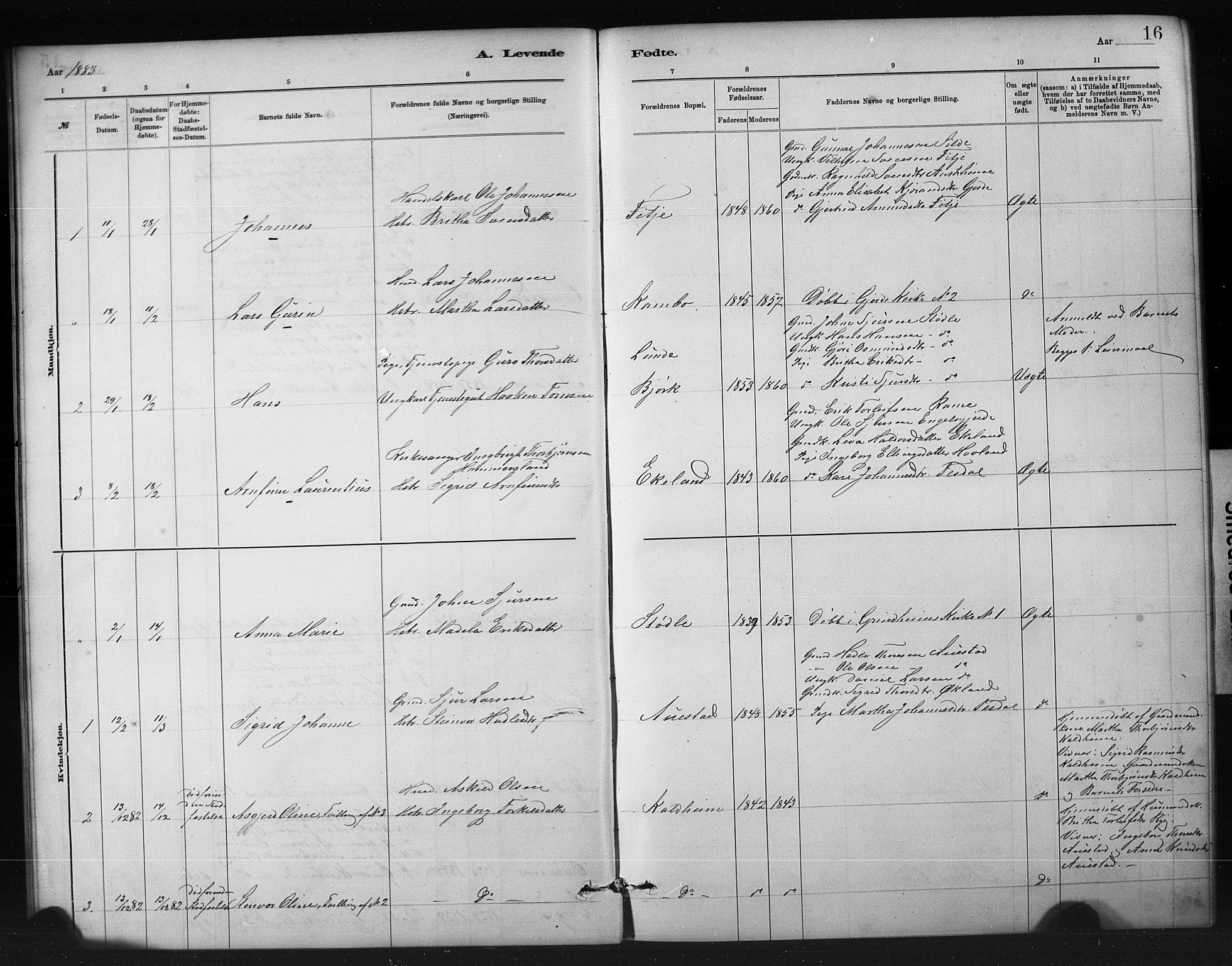 Etne sokneprestembete, SAB/A-75001/H/Hab: Parish register (copy) no. A 5, 1879-1896, p. 16