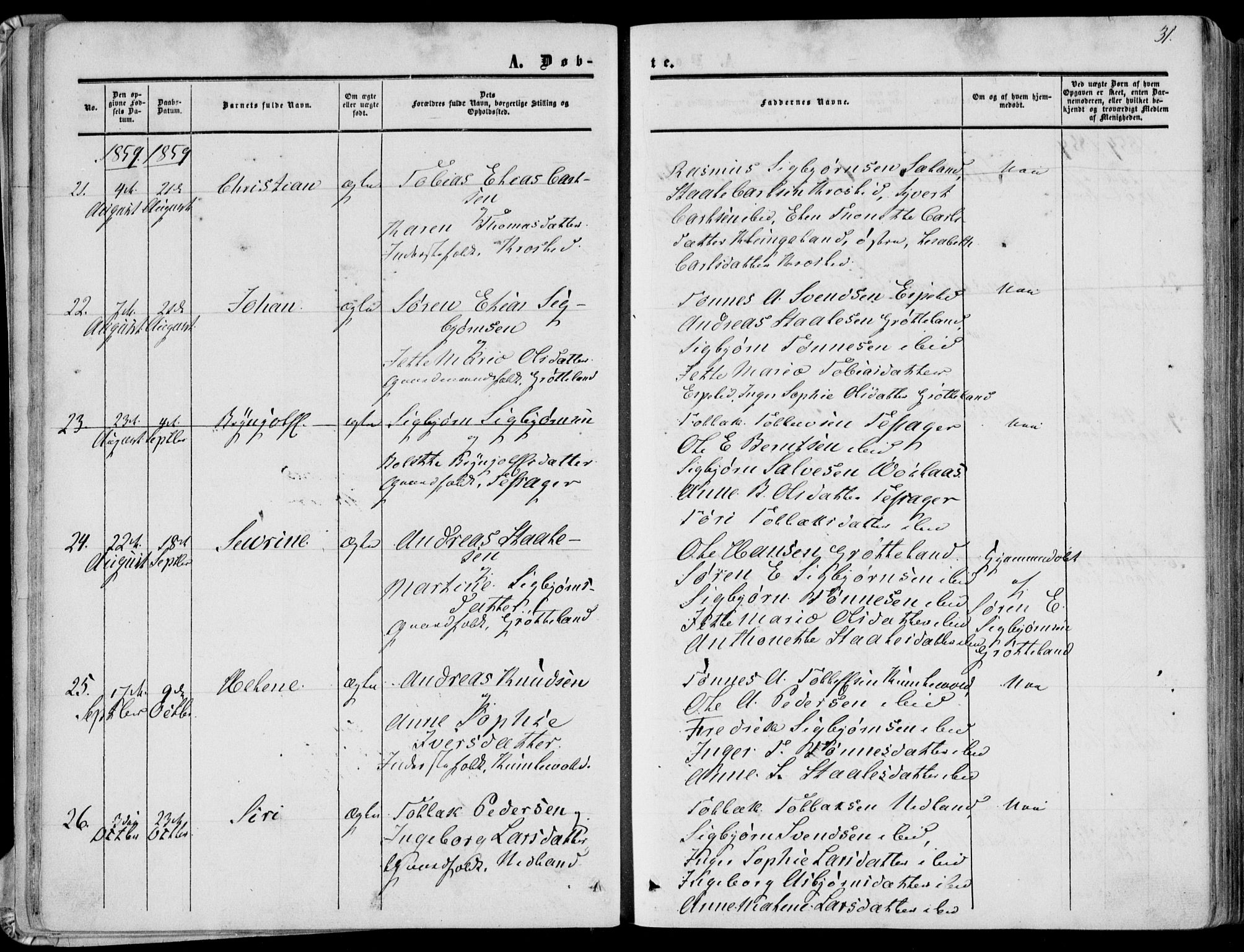 Bakke sokneprestkontor, AV/SAK-1111-0002/F/Fa/Fab/L0002: Parish register (official) no. A 2, 1855-1884, p. 31