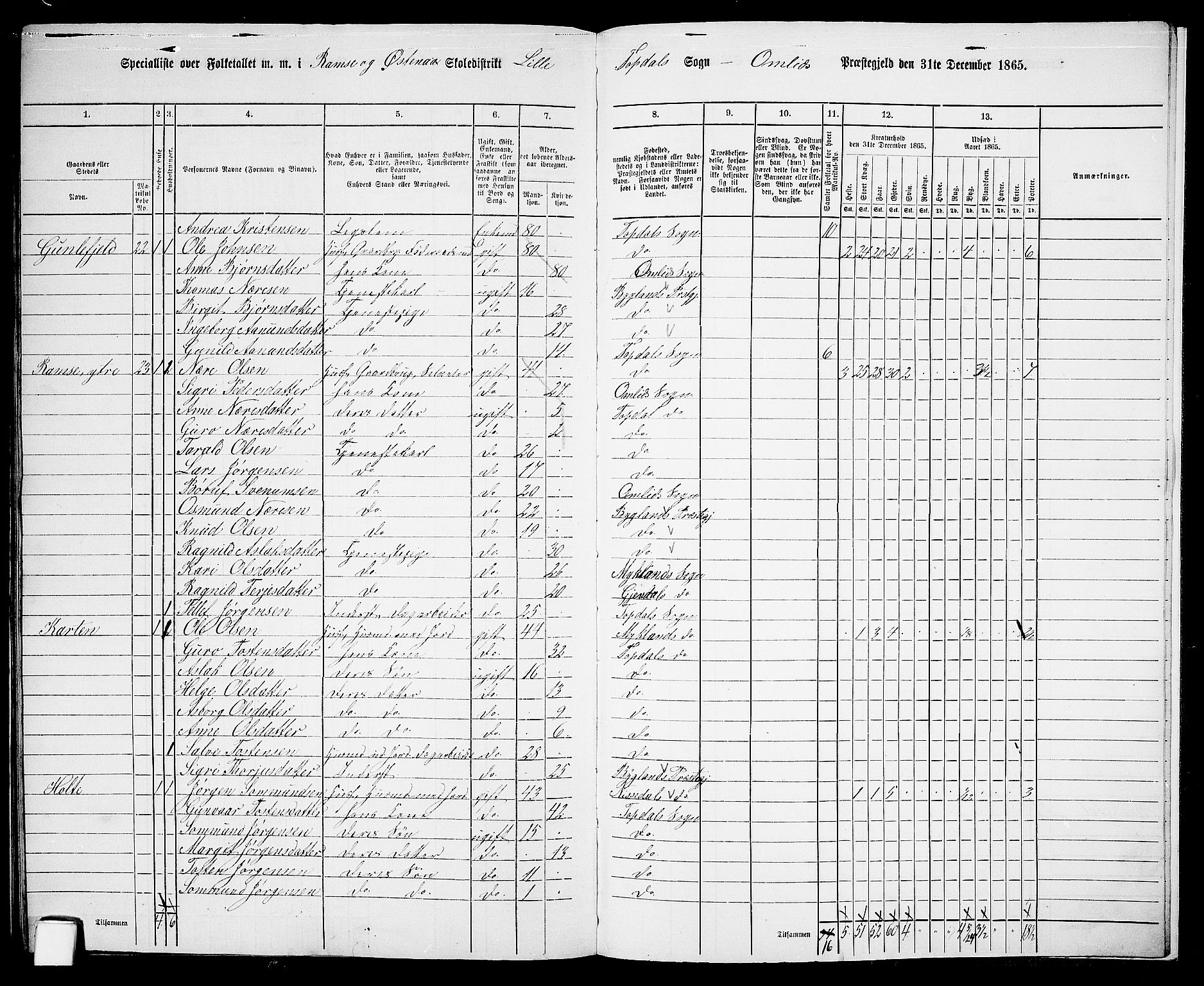 RA, 1865 census for Åmli, 1865, p. 118