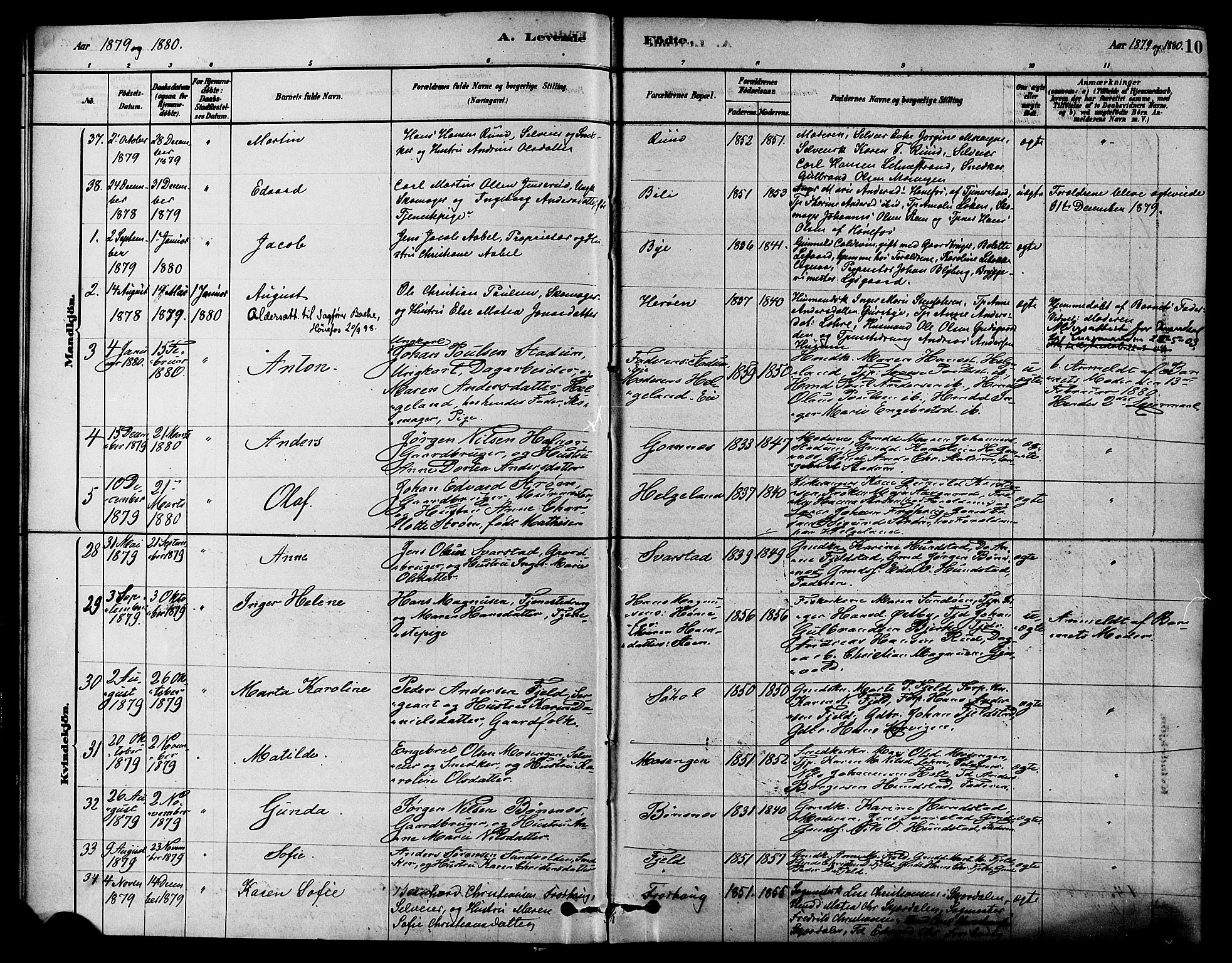 Hole kirkebøker, SAKO/A-228/F/Fa/L0008: Parish register (official) no. I 8, 1878-1891, p. 10