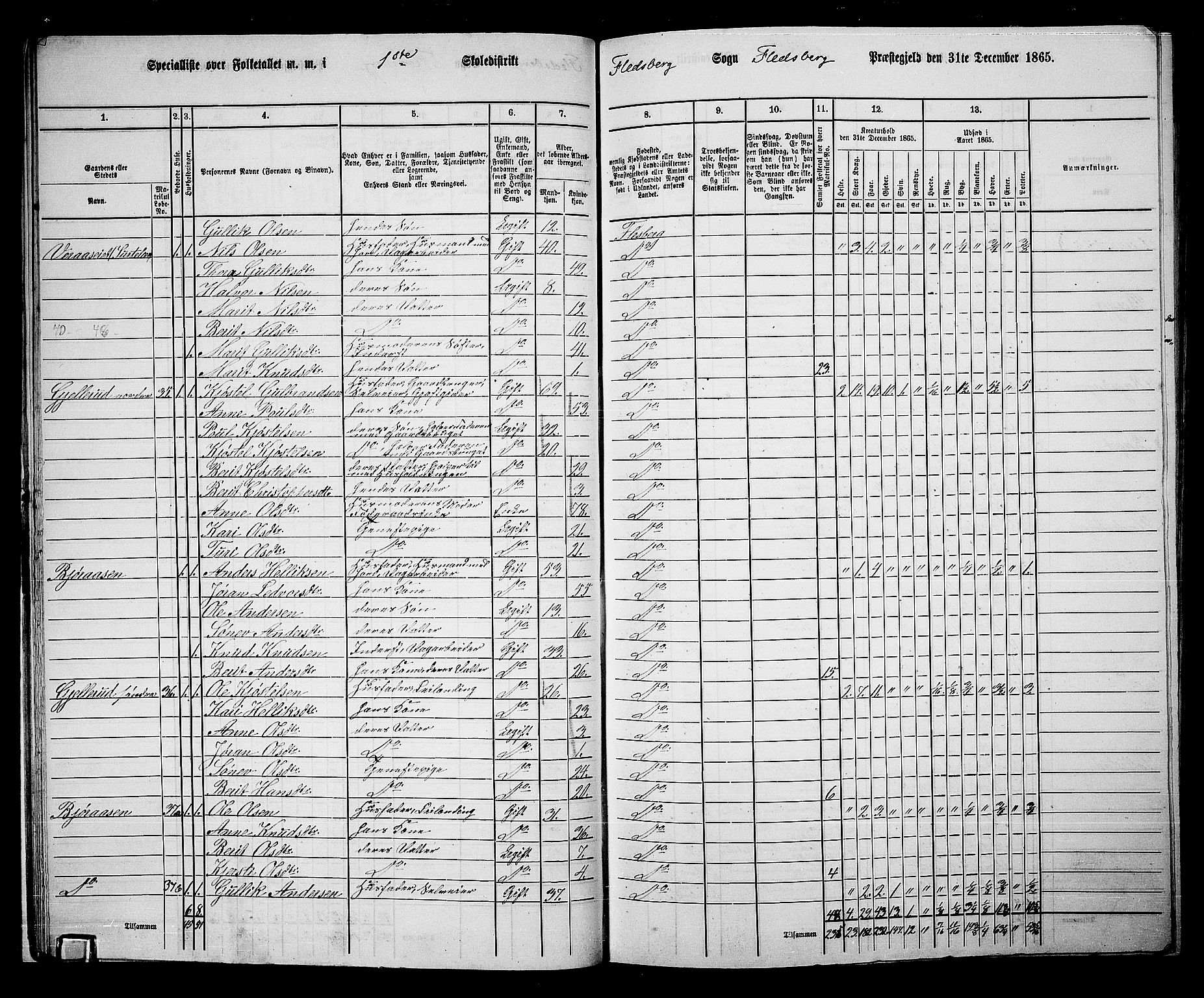 RA, 1865 census for Flesberg, 1865, p. 20