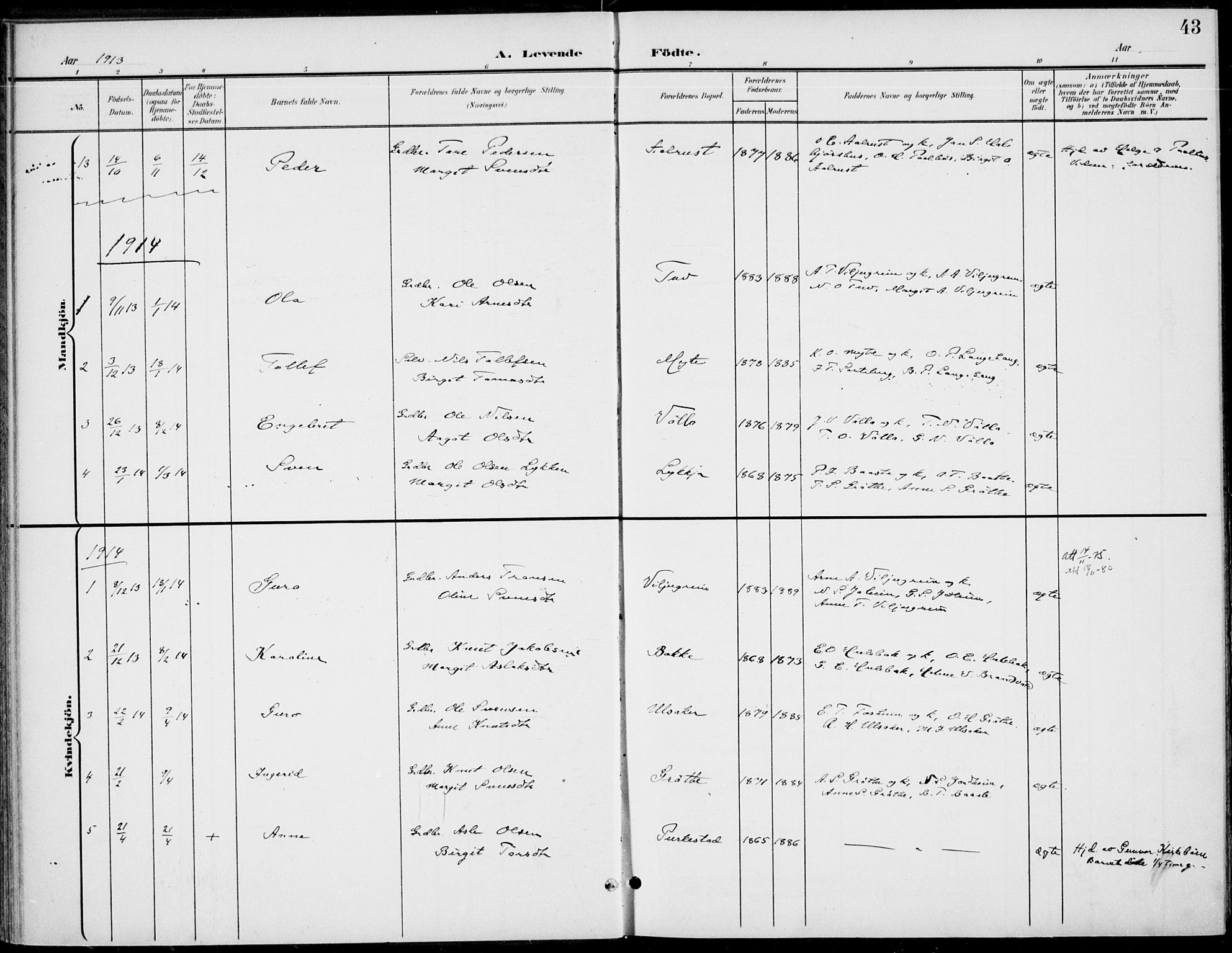 Gol kirkebøker, AV/SAKO-A-226/F/Fb/L0002: Parish register (official) no. II 2, 1900-1921, p. 43