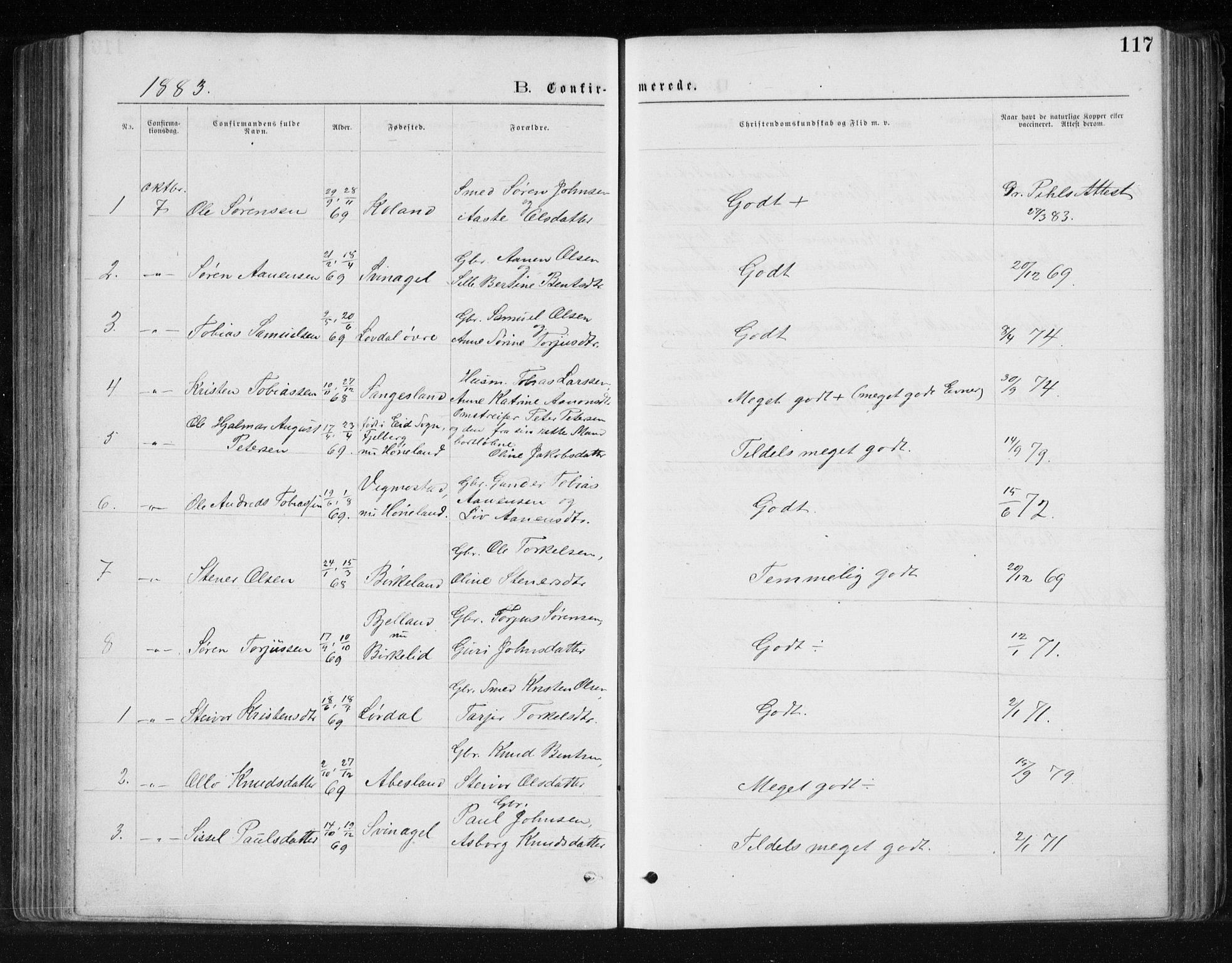 Holum sokneprestkontor, SAK/1111-0022/F/Fb/Fbb/L0003: Parish register (copy) no. B 3, 1875-1898, p. 117