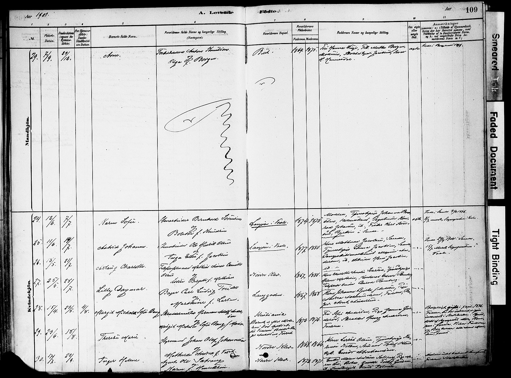 Holmestrand kirkebøker, AV/SAKO-A-346/F/Fa/L0004: Parish register (official) no. 4, 1880-1901, p. 109