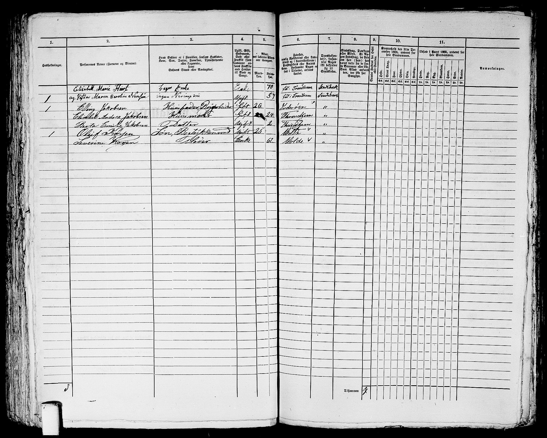 RA, 1865 census for Trondheim, 1865, p. 1723