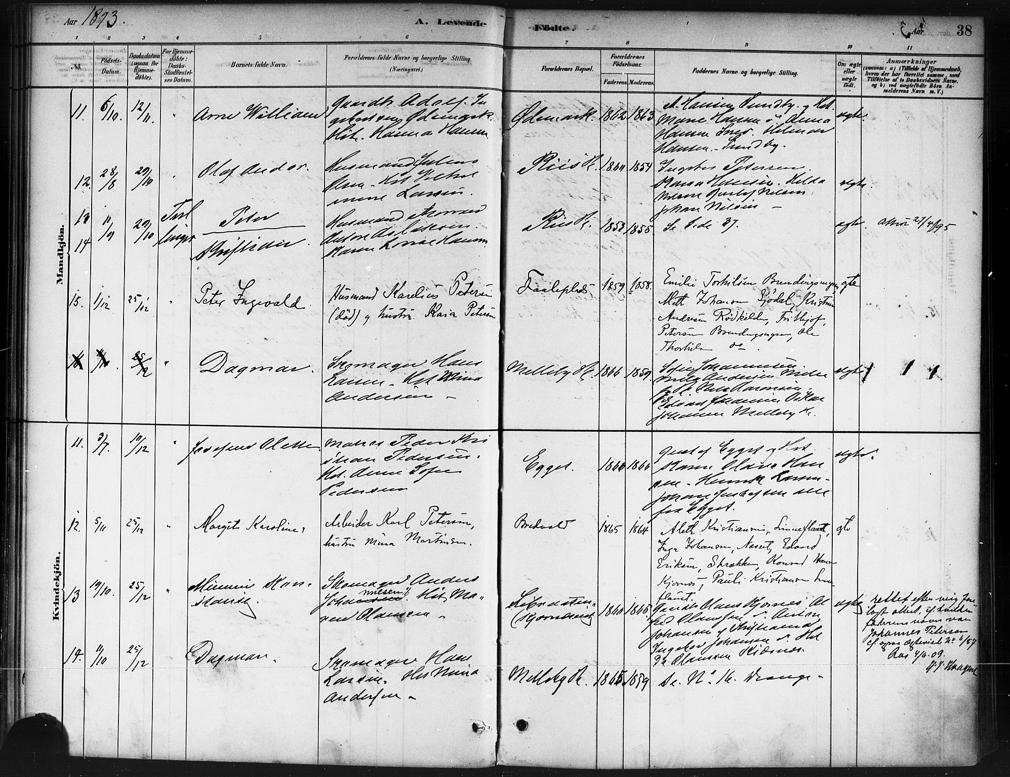 Ås prestekontor Kirkebøker, AV/SAO-A-10894/F/Fb/L0001: Parish register (official) no. II 1, 1881-1895, p. 38