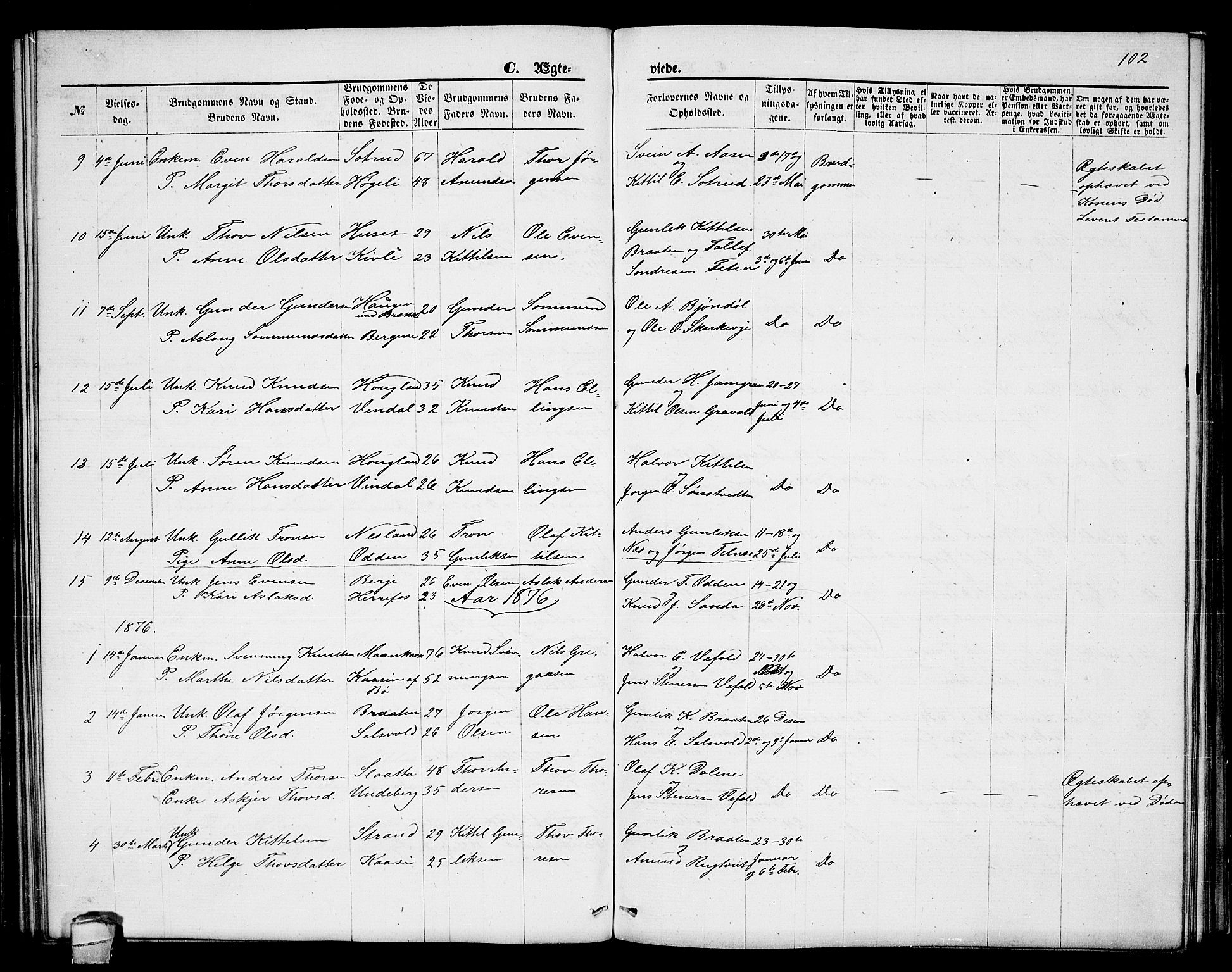 Seljord kirkebøker, SAKO/A-20/G/Ga/L0004: Parish register (copy) no. I 4, 1873-1886, p. 102