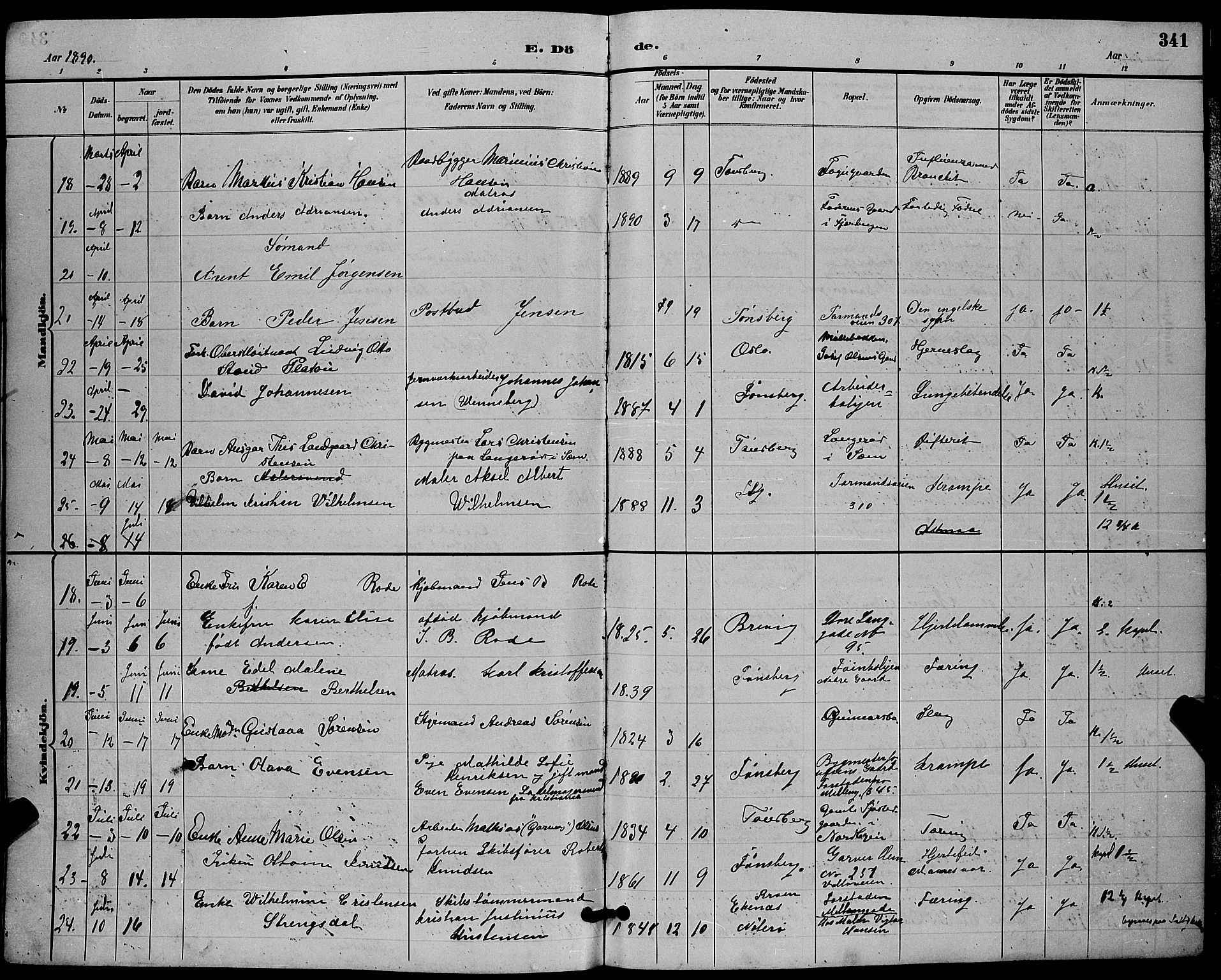 Tønsberg kirkebøker, AV/SAKO-A-330/G/Ga/L0006: Parish register (copy) no. 6, 1885-1895, p. 341