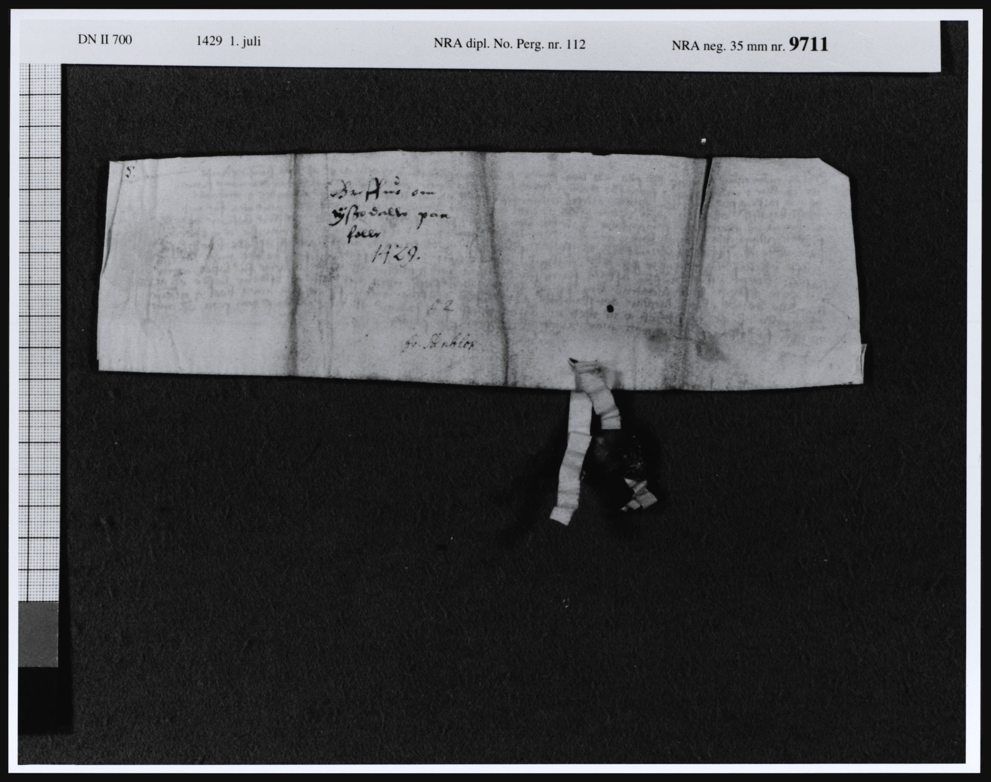 Riksarkivets diplomsamling, AV/RA-EA-5965/F08, 1224-1564, p. 254