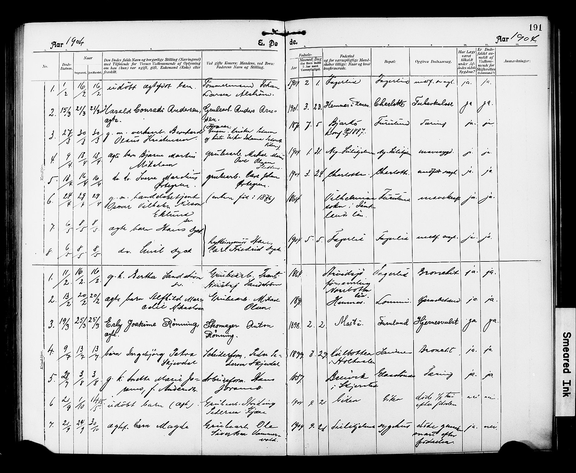 Ministerialprotokoller, klokkerbøker og fødselsregistre - Nordland, AV/SAT-A-1459/850/L0709: Parish register (official) no. 850A01, 1899-1909, p. 191