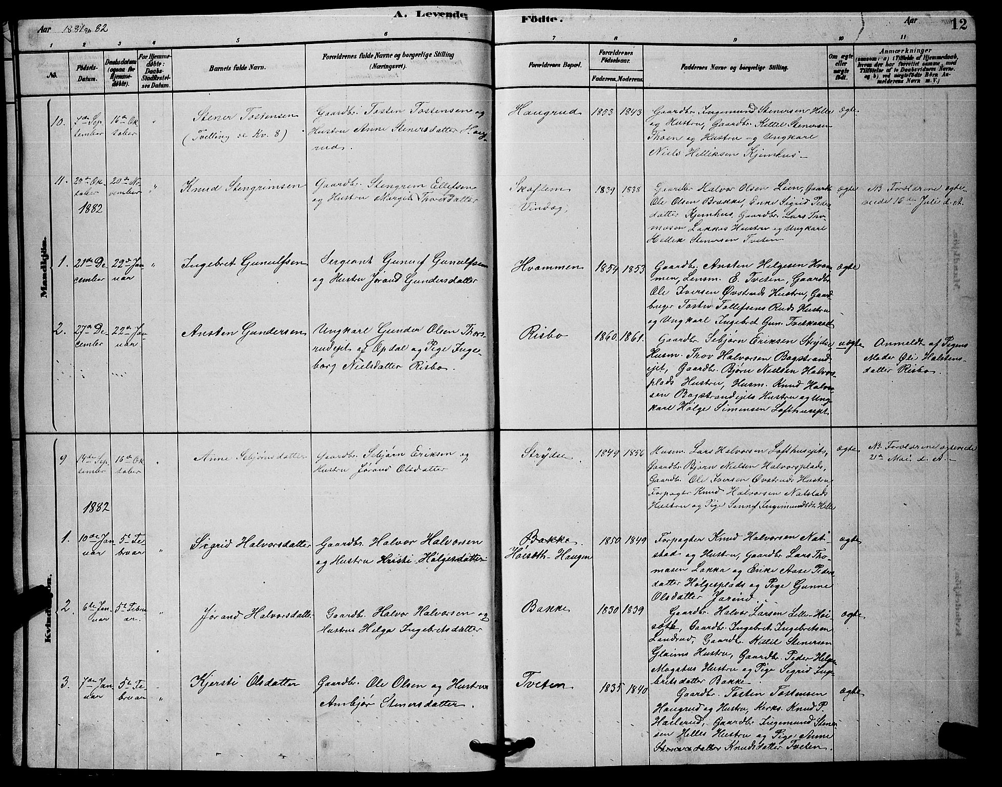 Rollag kirkebøker, SAKO/A-240/G/Gb/L0002: Parish register (copy) no. II 2, 1878-1898, p. 12