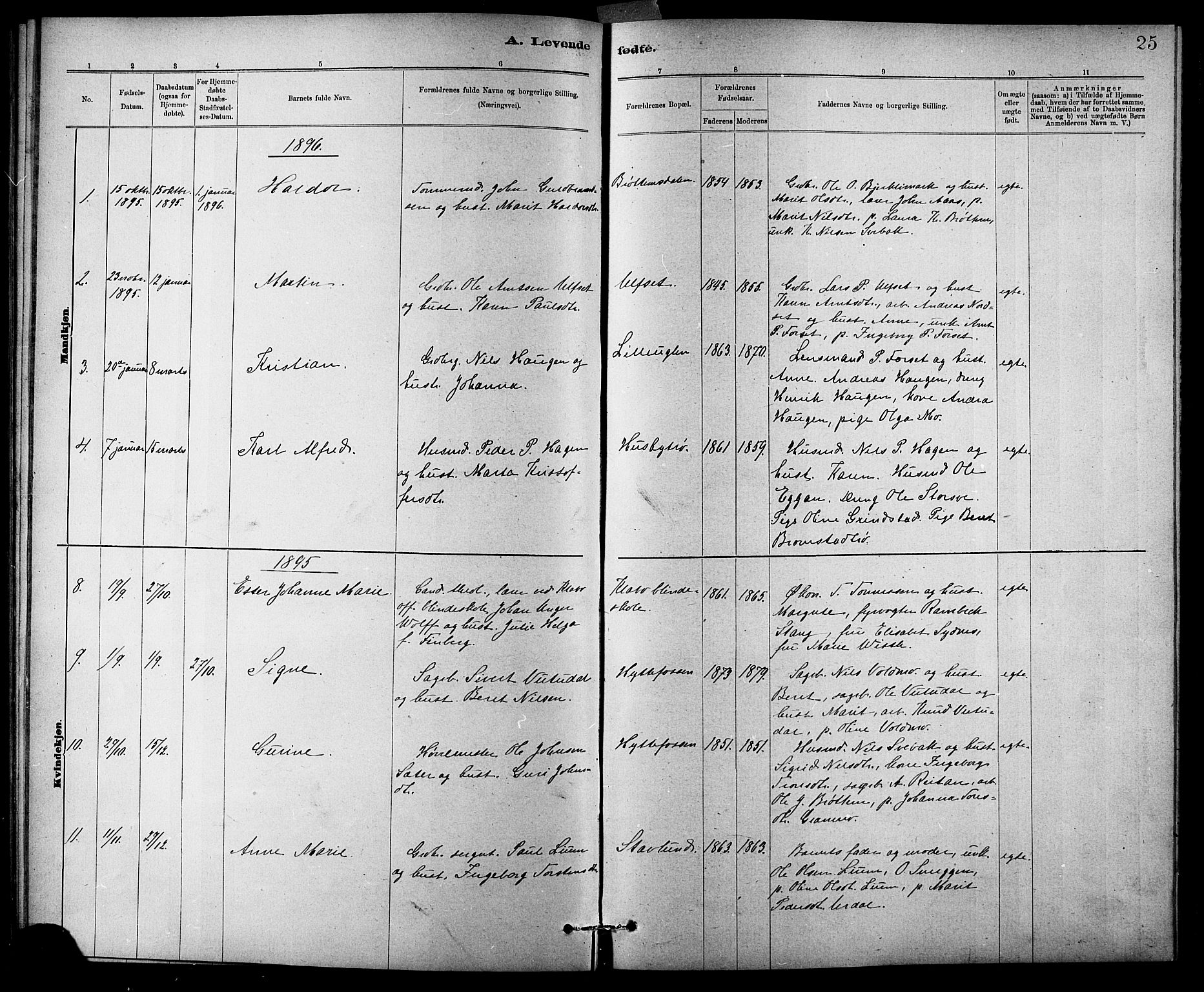 Ministerialprotokoller, klokkerbøker og fødselsregistre - Sør-Trøndelag, SAT/A-1456/618/L0452: Parish register (copy) no. 618C03, 1884-1906, p. 25