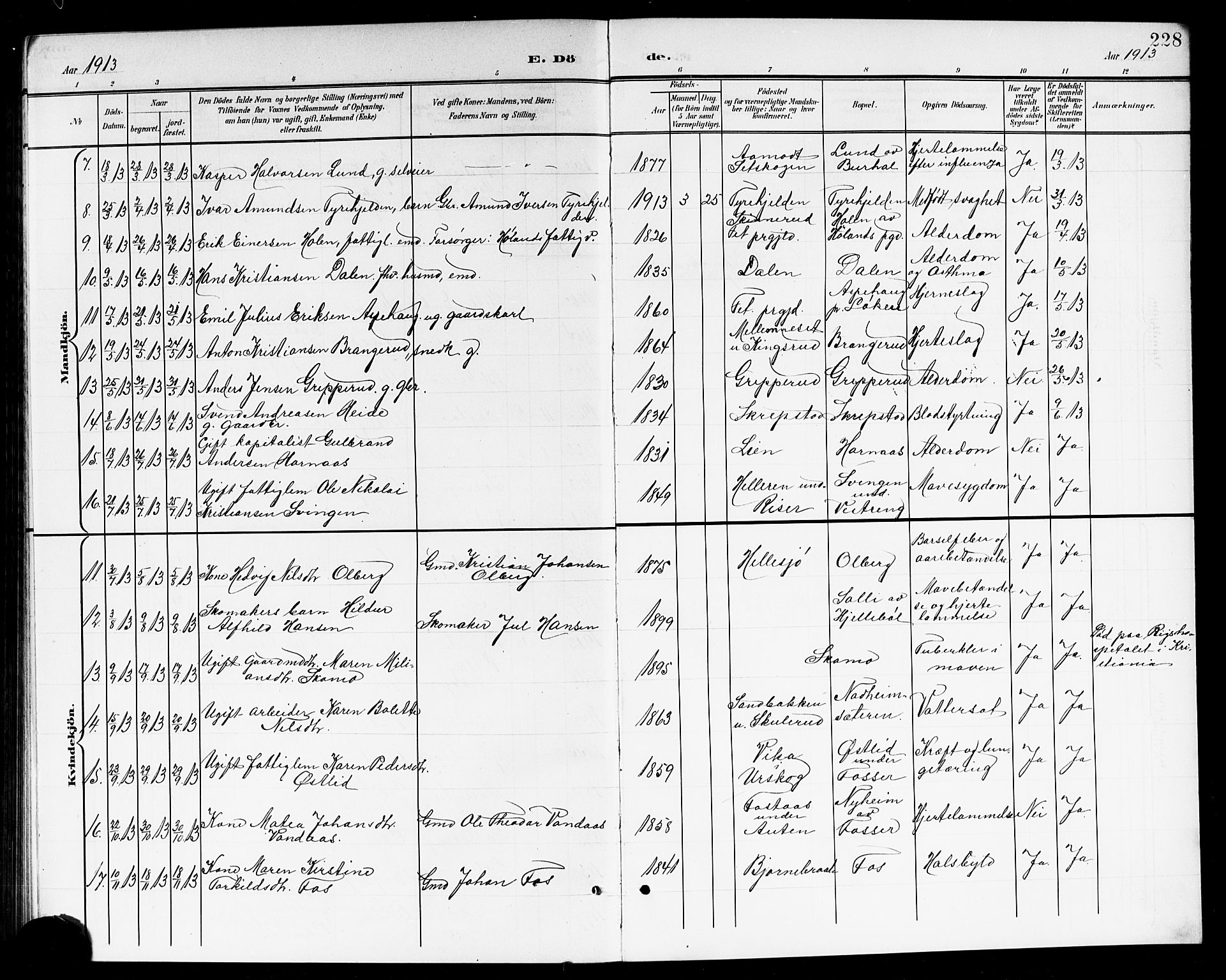 Høland prestekontor Kirkebøker, AV/SAO-A-10346a/G/Ga/L0007: Parish register (copy) no. I 7, 1902-1914, p. 228