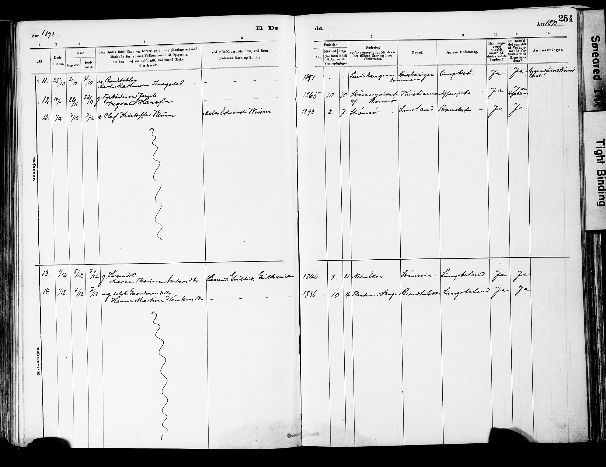 Strømsgodset kirkebøker, AV/SAKO-A-324/F/Fa/L0001: Parish register (official) no. 1, 1885-1909, p. 254