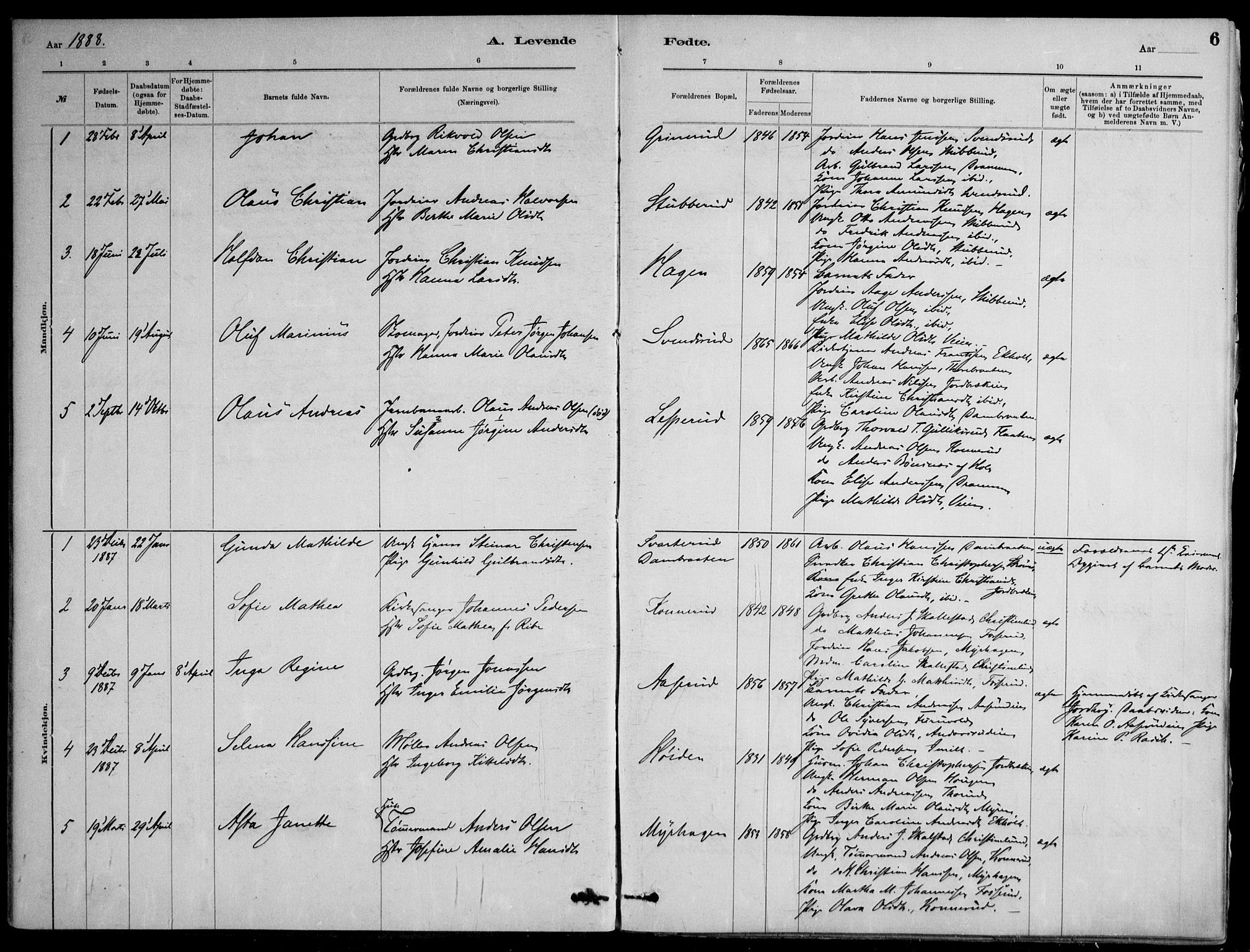 Skoger kirkebøker, AV/SAKO-A-59/F/Fb/L0001: Parish register (official) no. II 1, 1885-1913, p. 6