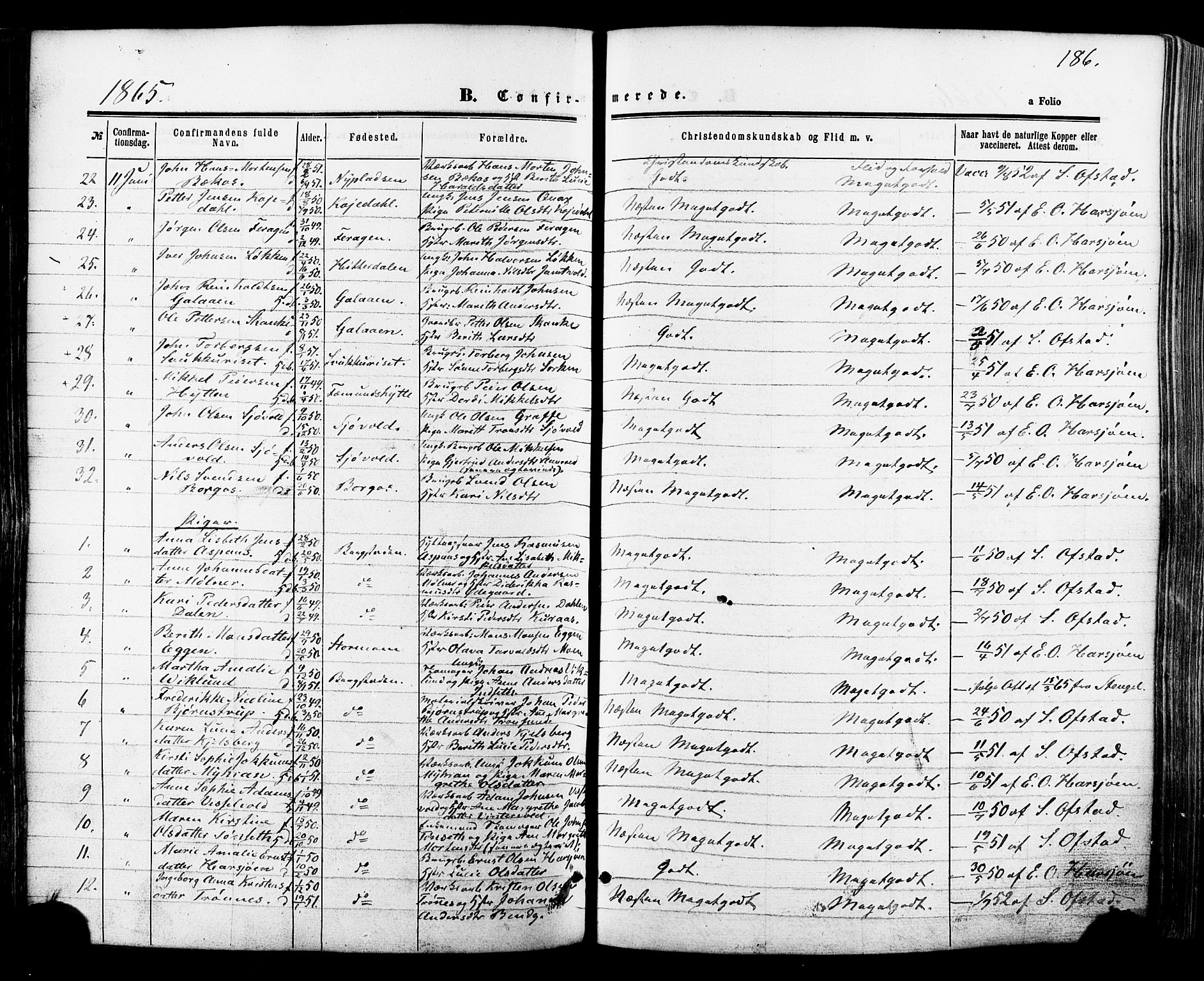 Ministerialprotokoller, klokkerbøker og fødselsregistre - Sør-Trøndelag, AV/SAT-A-1456/681/L0932: Parish register (official) no. 681A10, 1860-1878, p. 186