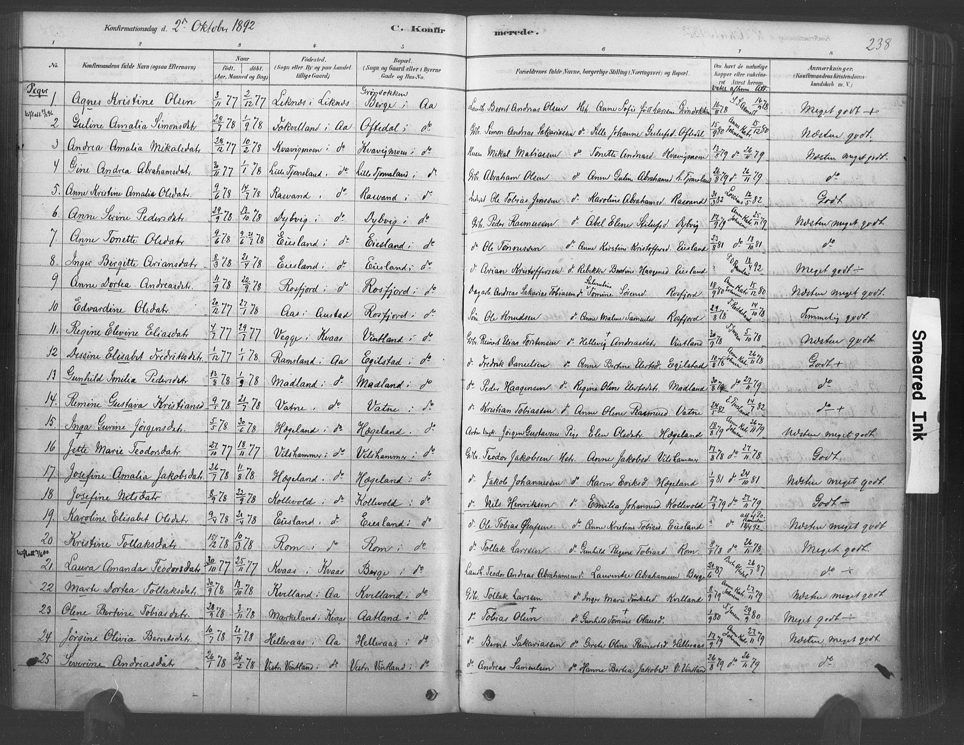 Lyngdal sokneprestkontor, SAK/1111-0029/F/Fa/Fac/L0011: Parish register (official) no. A 11, 1878-1893, p. 238