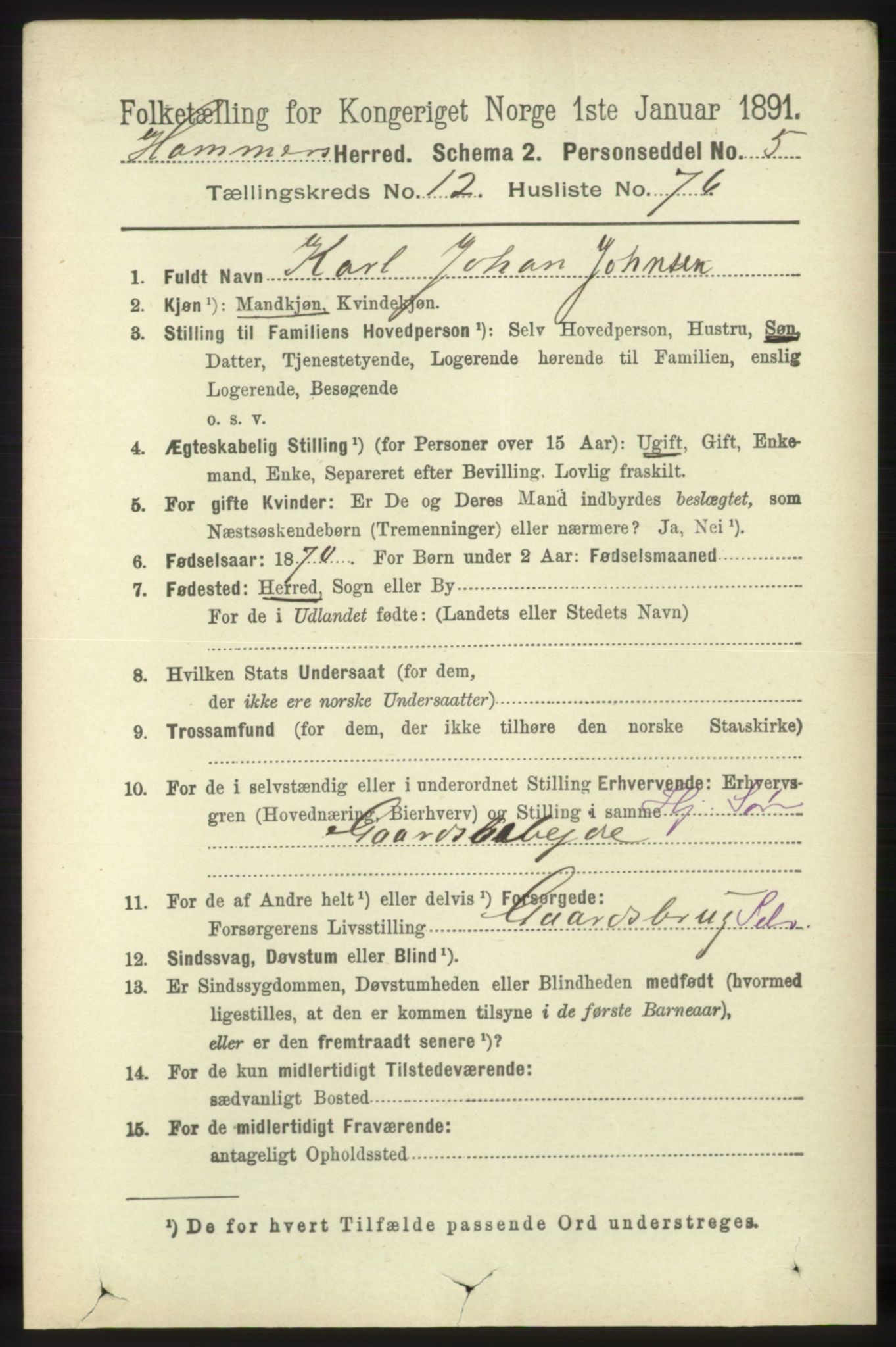 RA, 1891 census for 1254 Hamre, 1891, p. 3941