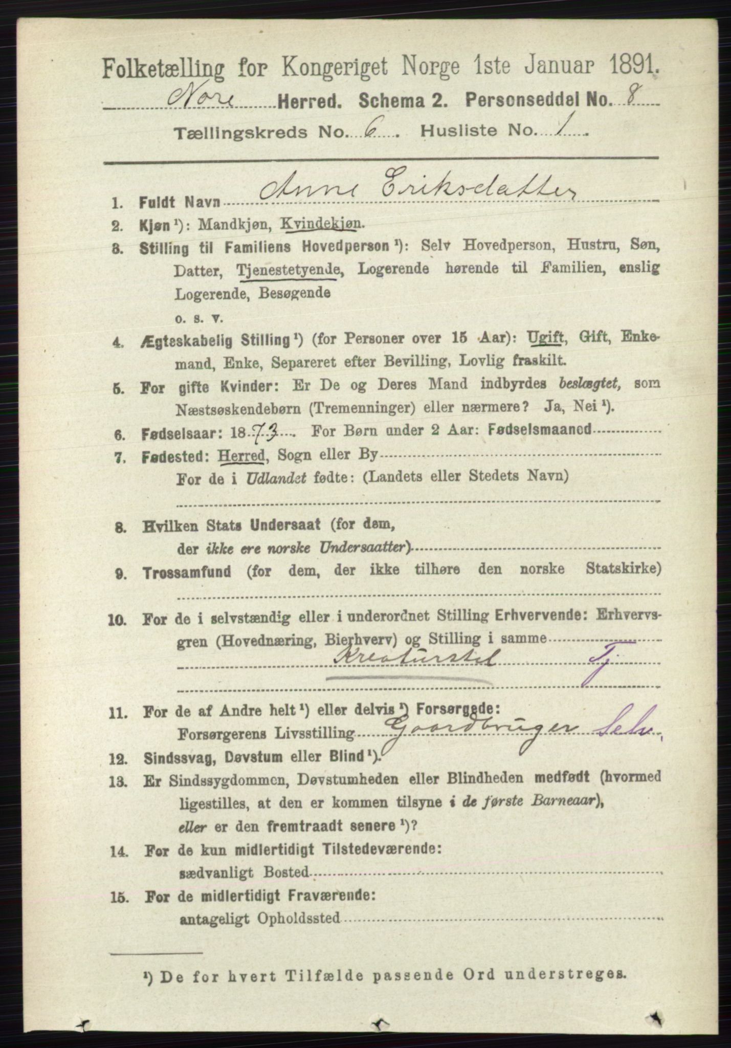 RA, 1891 census for 0633 Nore, 1891, p. 1972