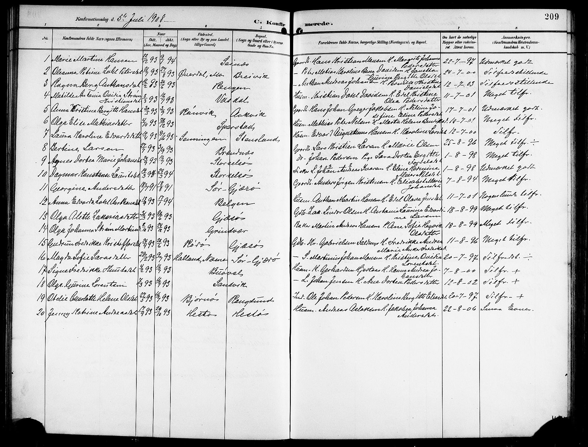 Ministerialprotokoller, klokkerbøker og fødselsregistre - Nordland, AV/SAT-A-1459/841/L0621: Parish register (copy) no. 841C05, 1897-1923, p. 209